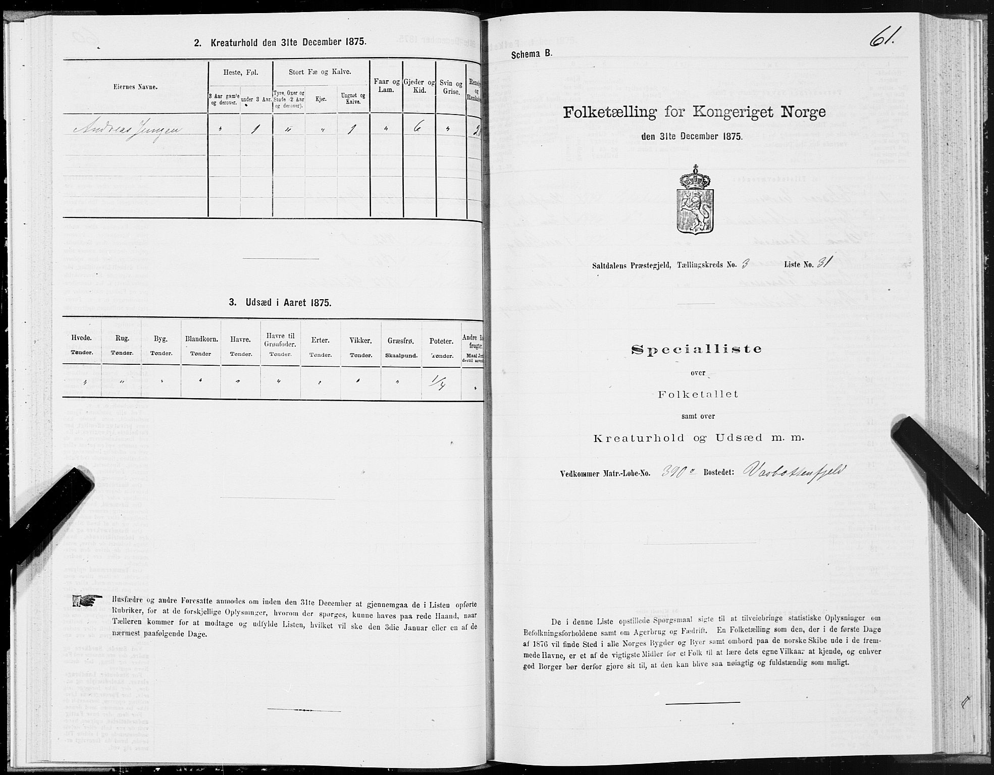 SAT, 1875 census for 1840P Saltdal, 1875, p. 2061