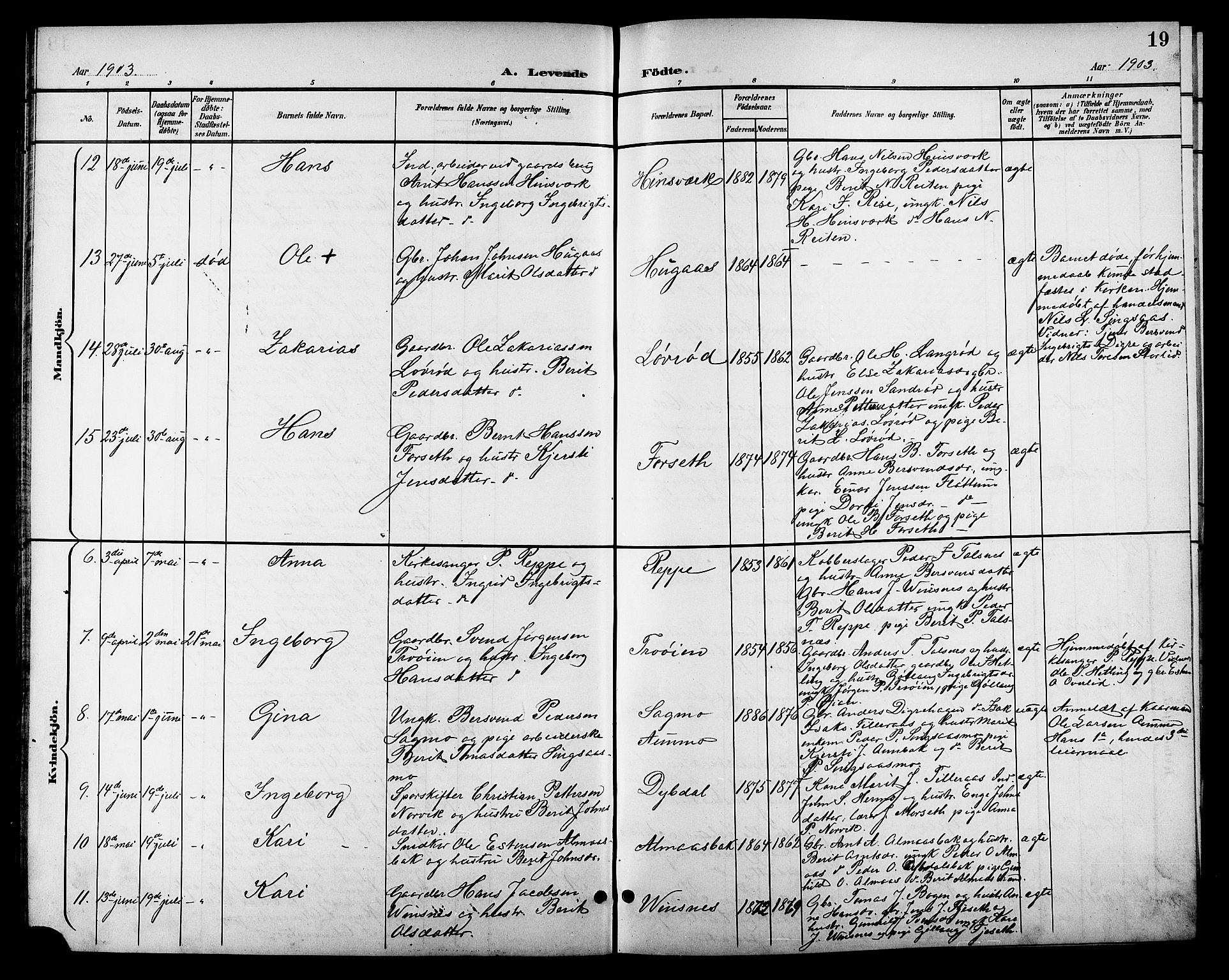 Ministerialprotokoller, klokkerbøker og fødselsregistre - Sør-Trøndelag, AV/SAT-A-1456/688/L1029: Parish register (copy) no. 688C04, 1899-1915, p. 19