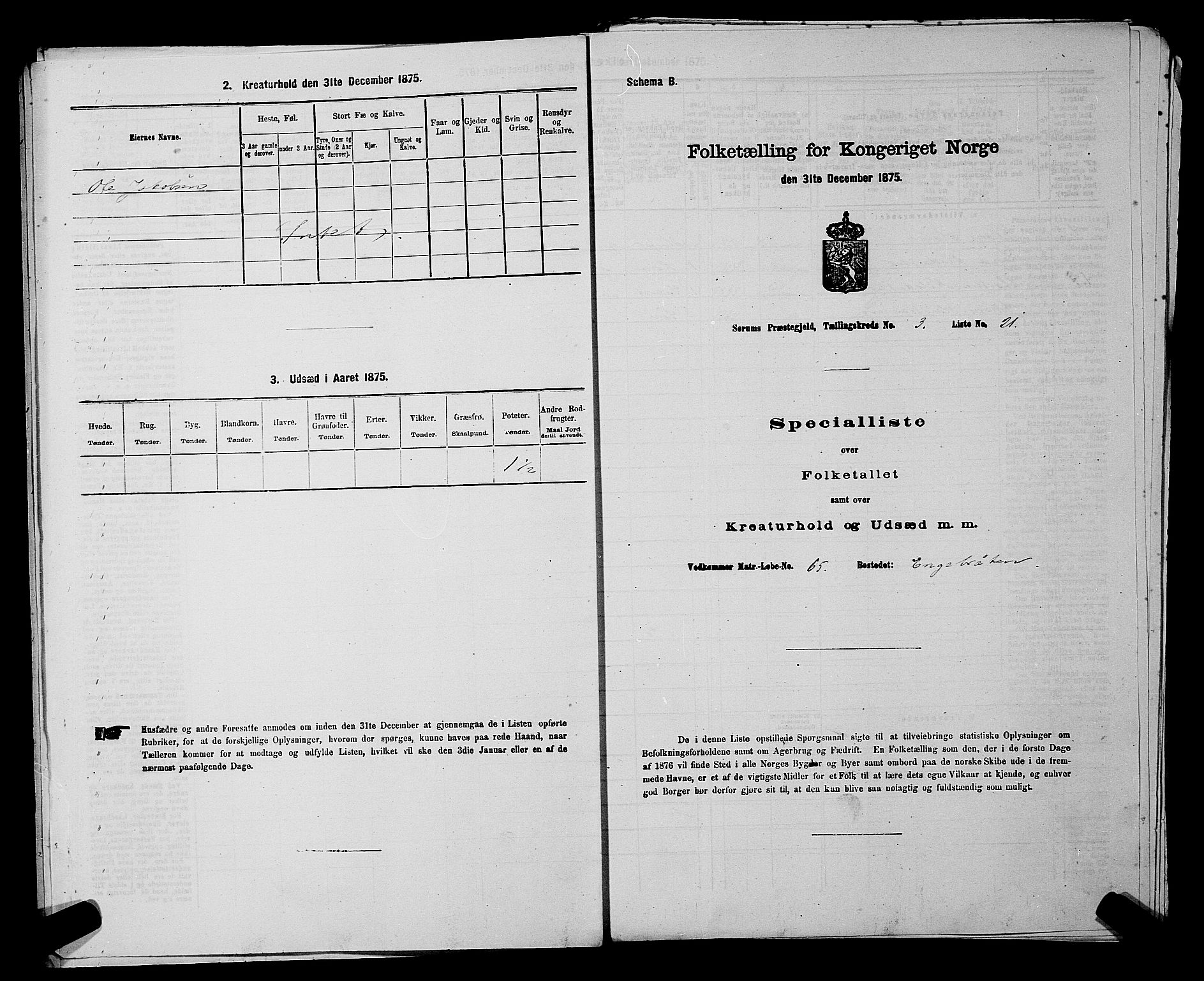 RA, 1875 census for 0226P Sørum, 1875, p. 321