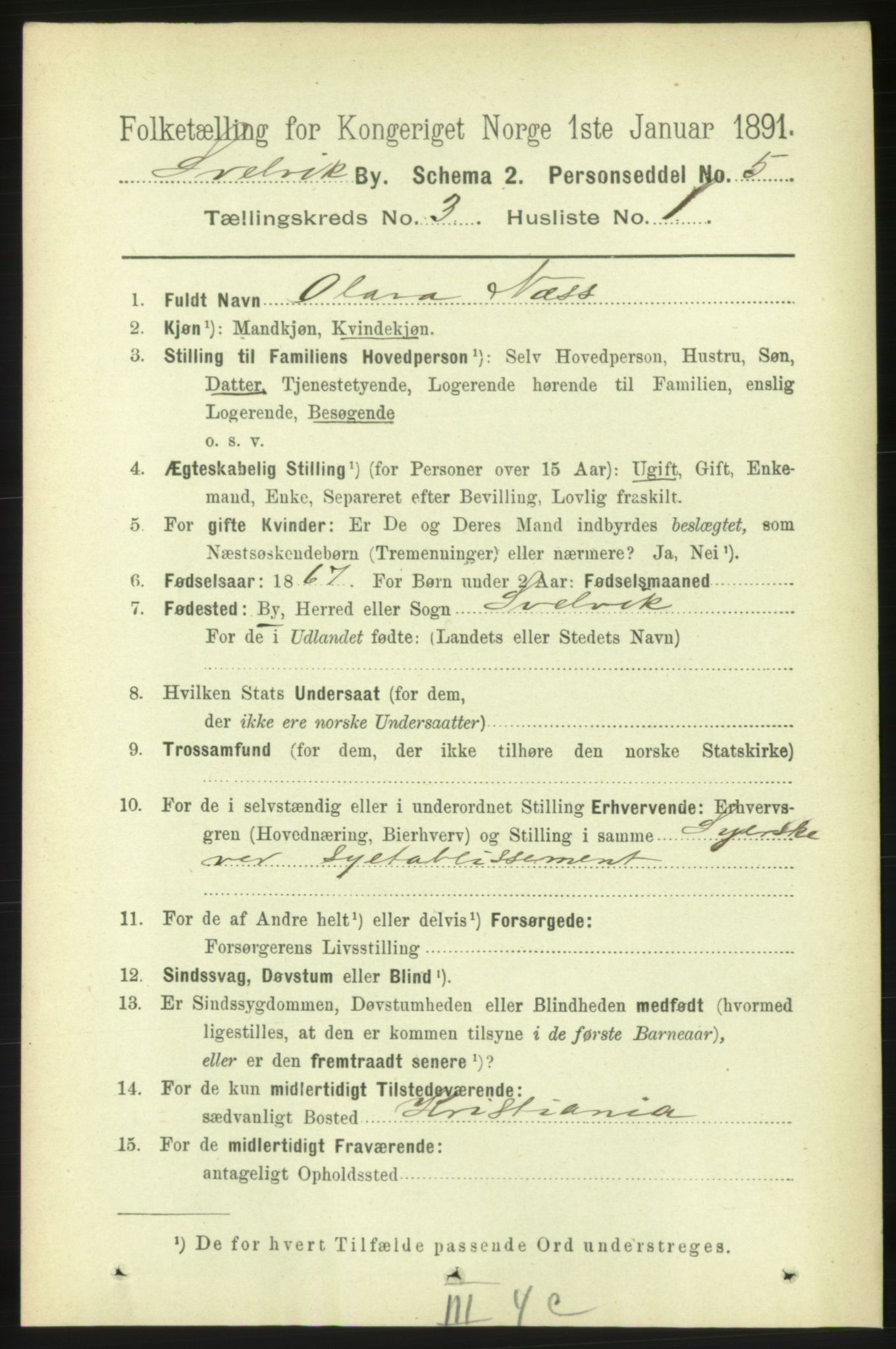 RA, 1891 census for 0701 Svelvik, 1891, p. 1214