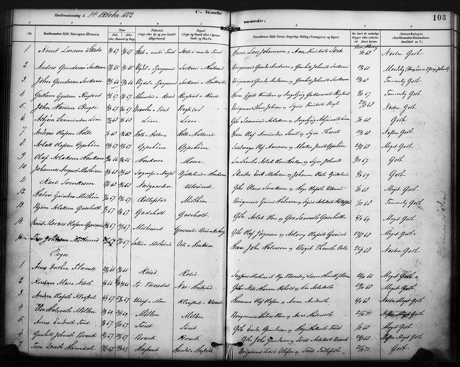 Kviteseid kirkebøker, SAKO/A-276/F/Fa/L0008: Parish register (official) no. I 8, 1882-1903, p. 103