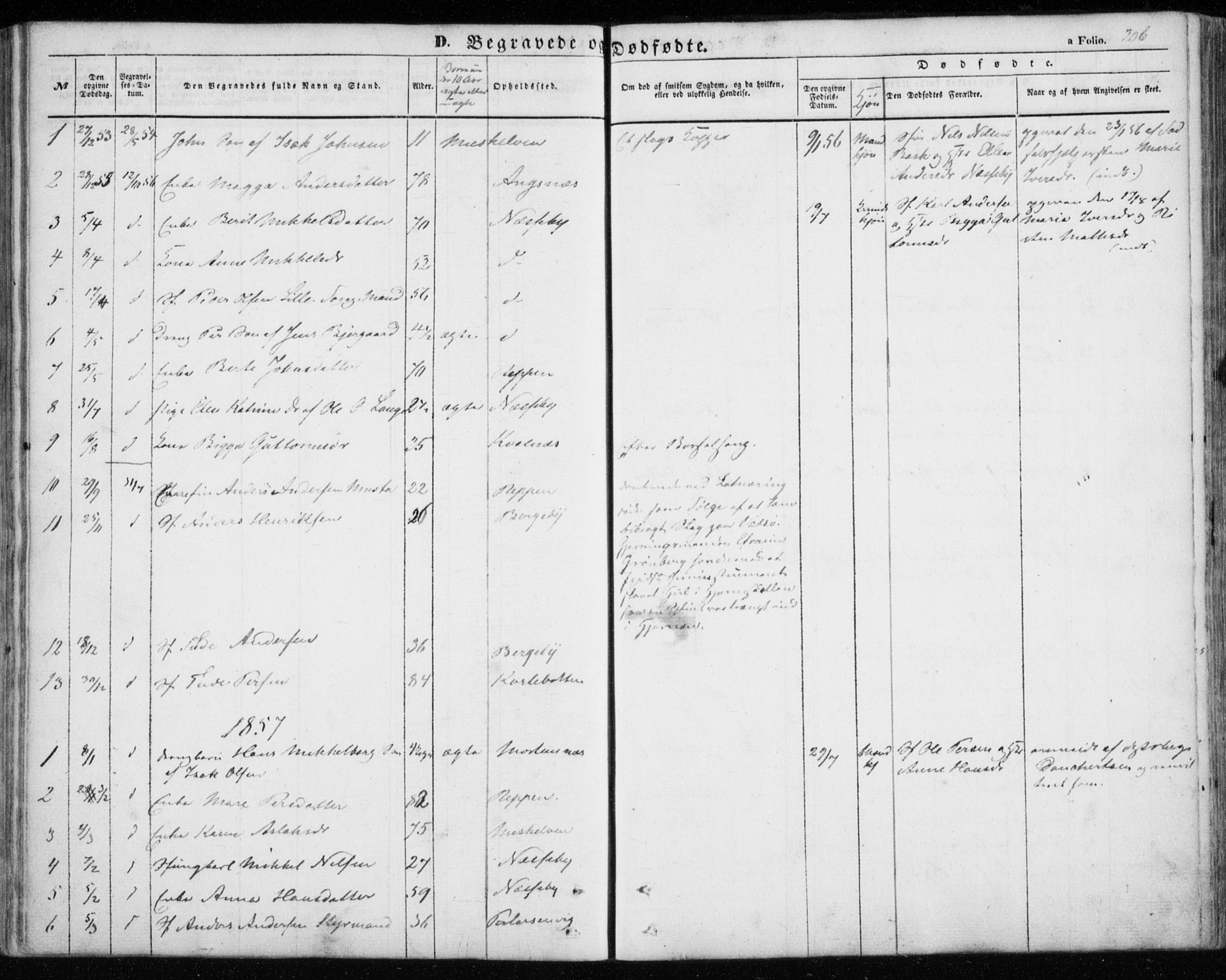 Nesseby sokneprestkontor, SATØ/S-1330/H/Ha/L0002kirke: Parish register (official) no. 2, 1856-1864, p. 206