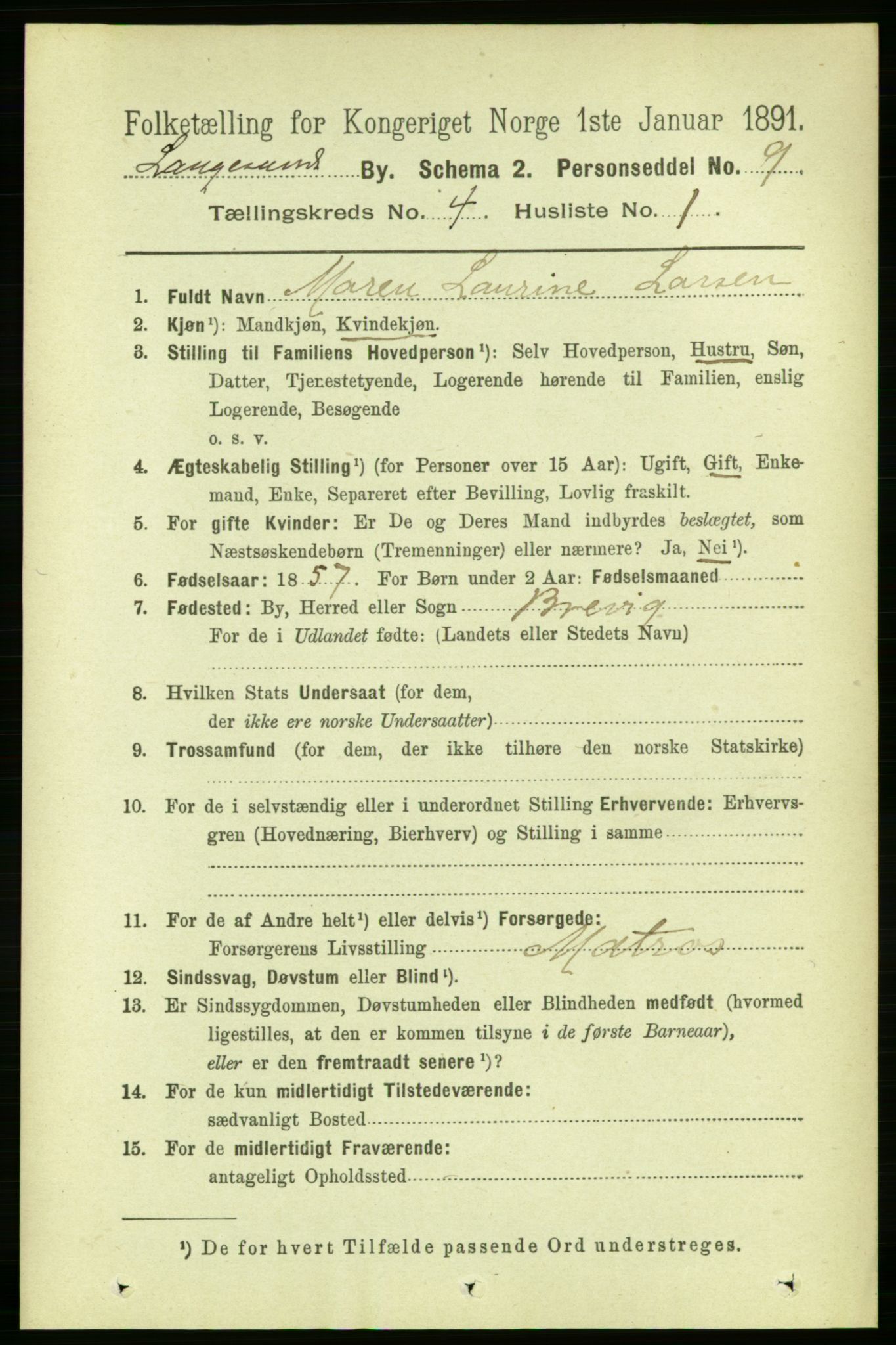 RA, 1891 census for 0802 Langesund, 1891, p. 1161