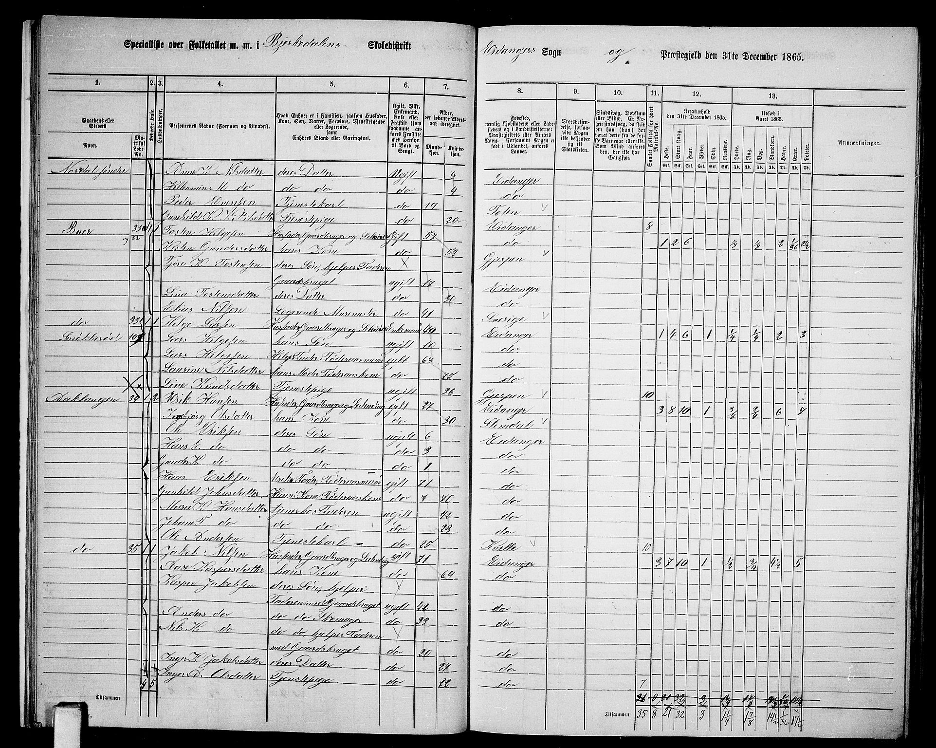 RA, 1865 census for Eidanger, 1865, p. 19