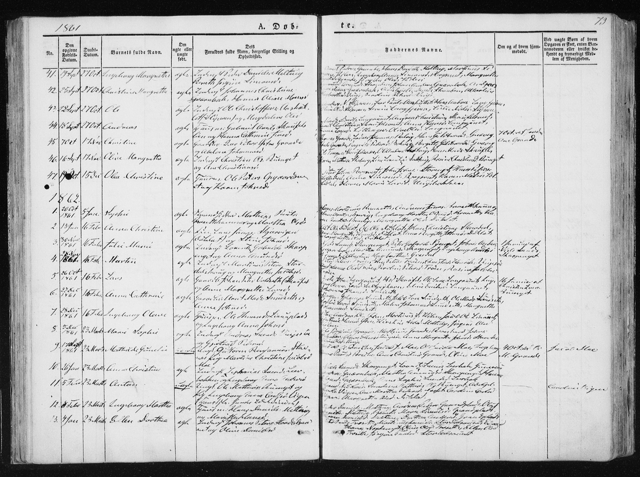 Ministerialprotokoller, klokkerbøker og fødselsregistre - Nord-Trøndelag, SAT/A-1458/733/L0323: Parish register (official) no. 733A02, 1843-1870, p. 73
