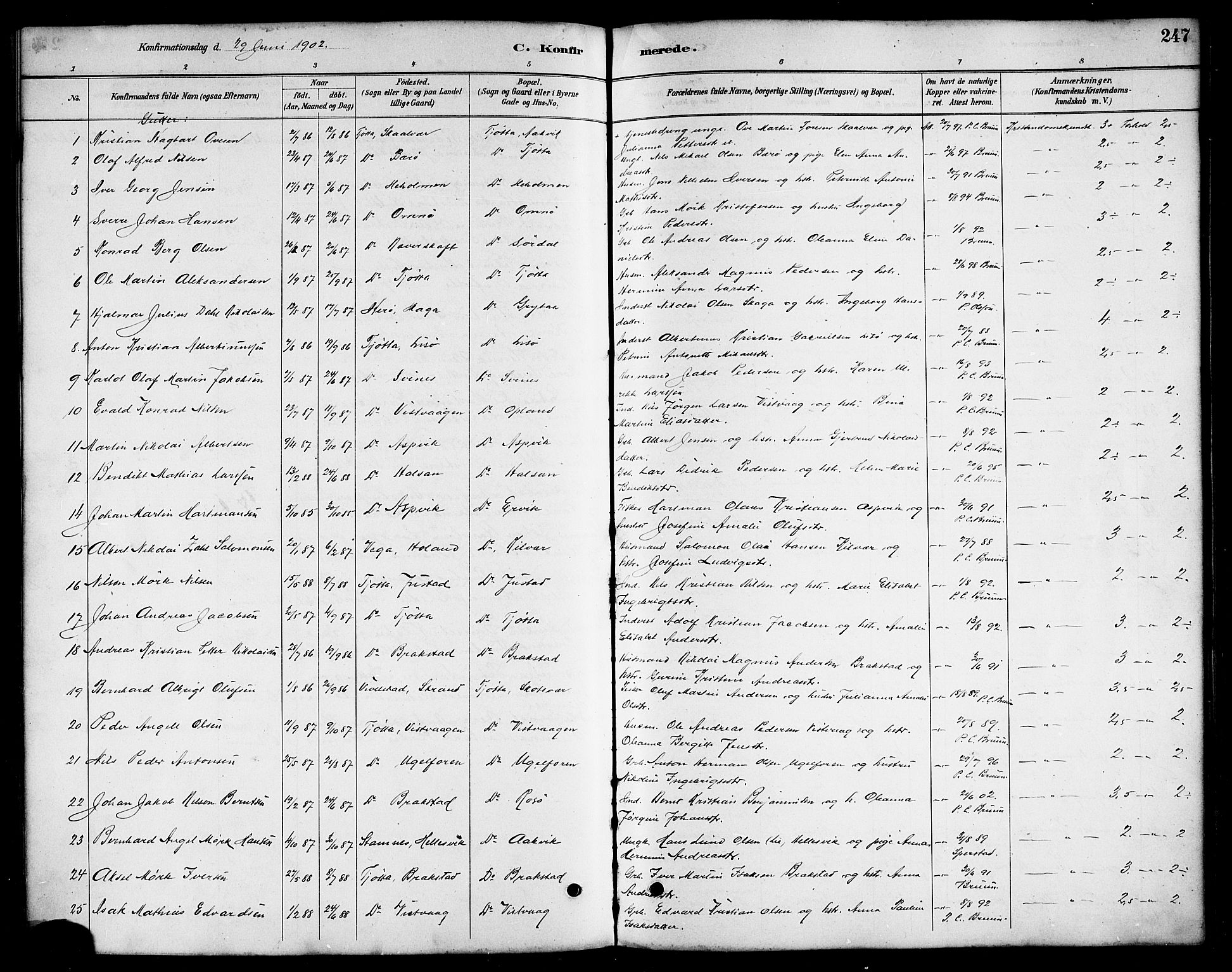 Ministerialprotokoller, klokkerbøker og fødselsregistre - Nordland, AV/SAT-A-1459/817/L0268: Parish register (copy) no. 817C03, 1884-1920, p. 247