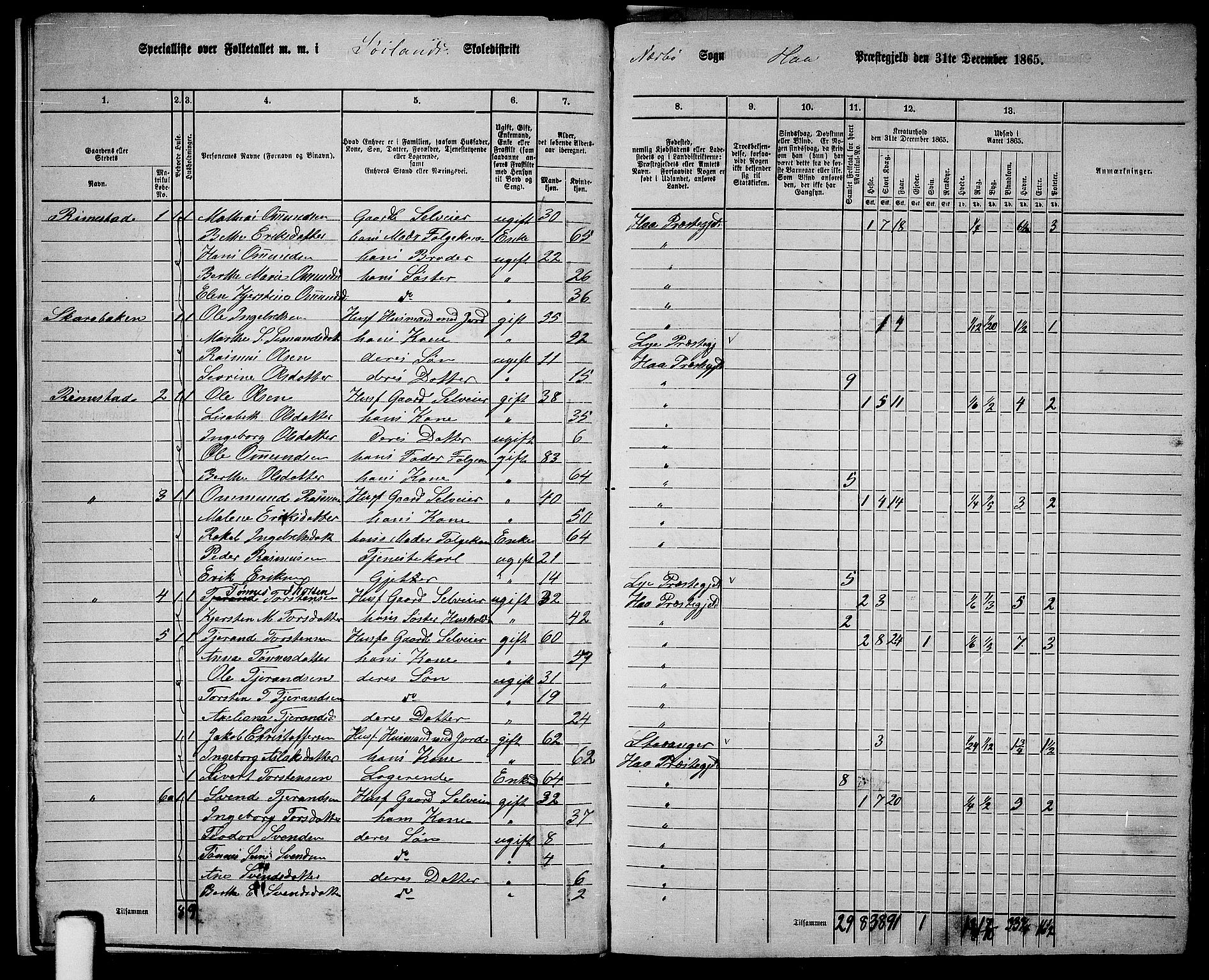 RA, 1865 census for Hå, 1865, p. 12