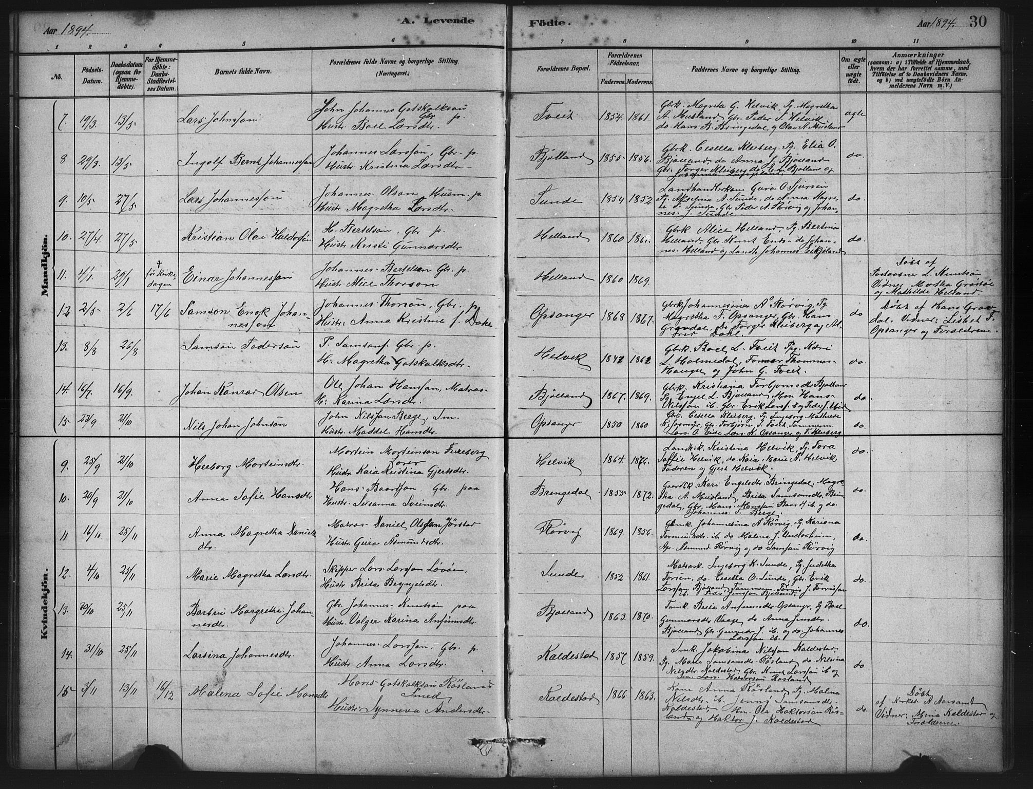Husnes Sokneprestembete, AV/SAB-A-75901/H/Hab: Parish register (copy) no. A 2, 1881-1917, p. 30