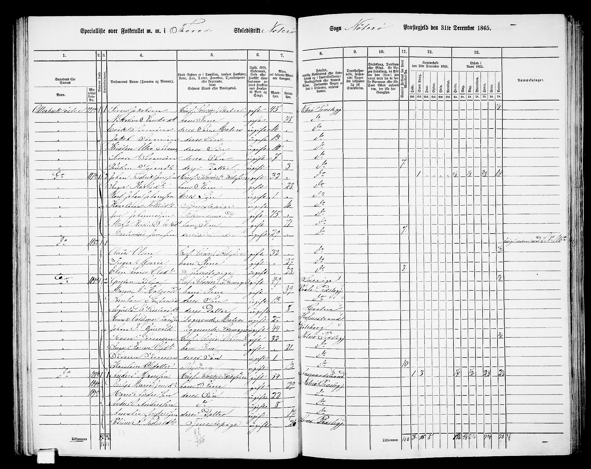 RA, 1865 census for Nøtterøy, 1865, p. 95