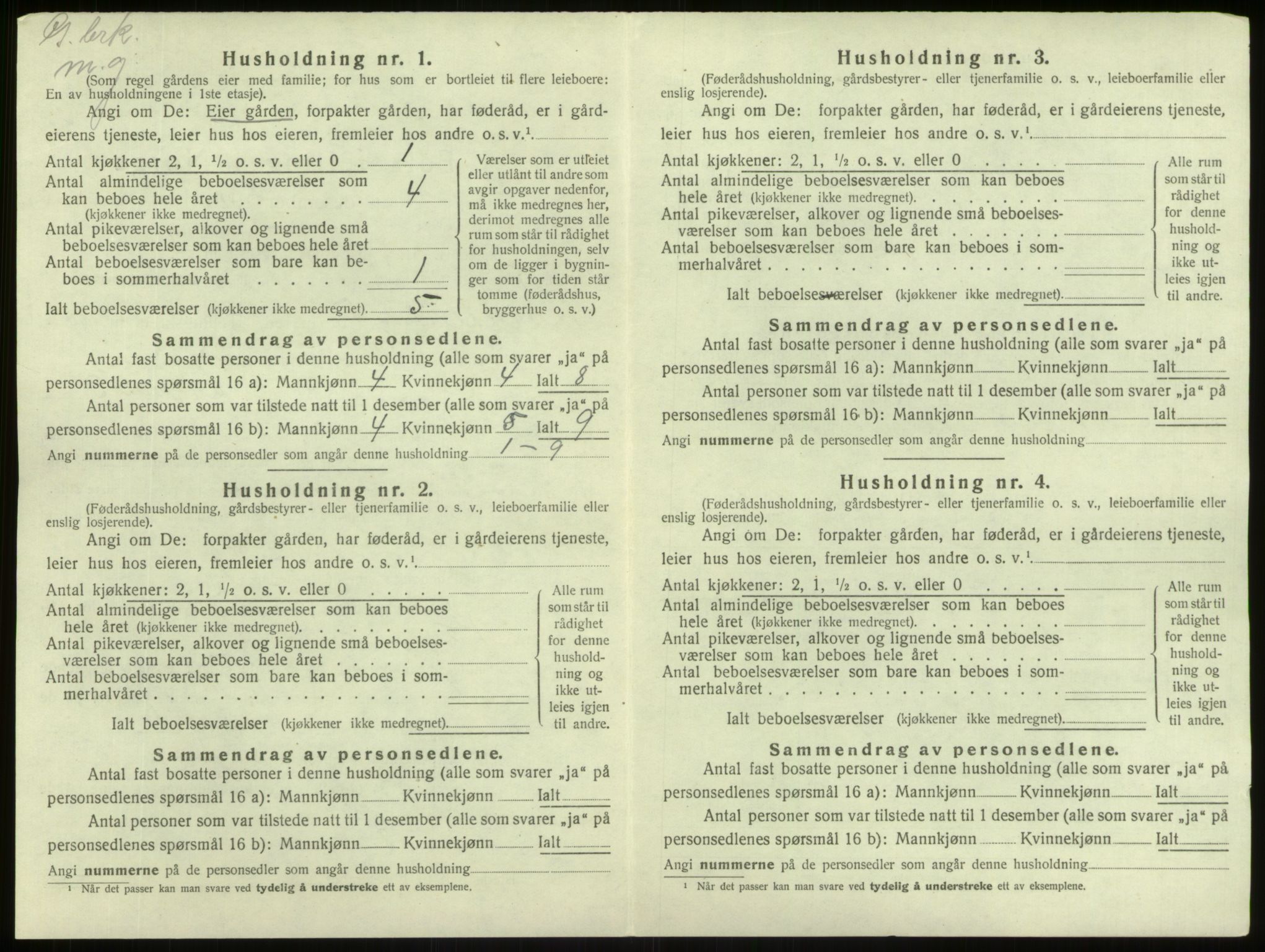 SAB, 1920 census for Lærdal, 1920, p. 791