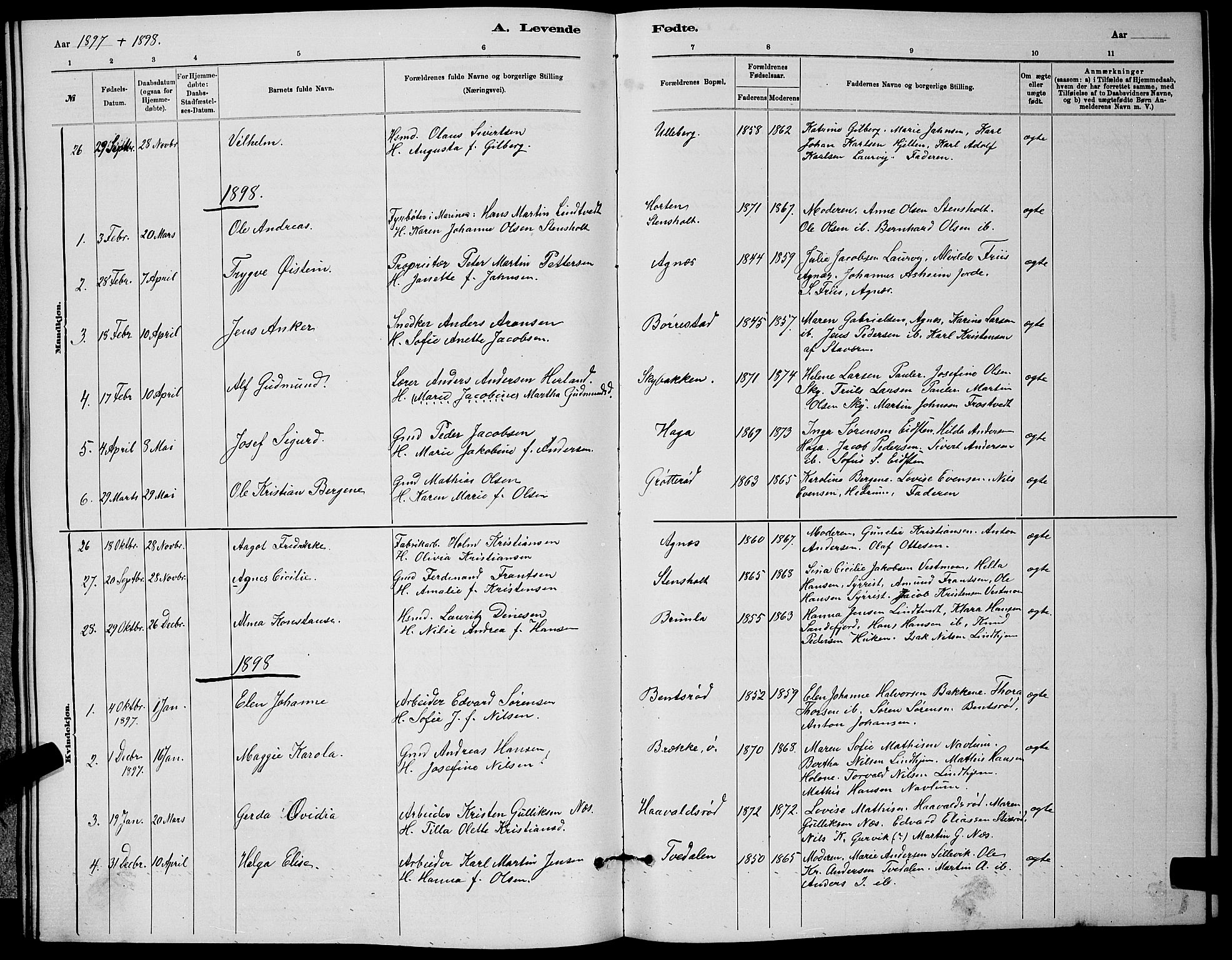 Brunlanes kirkebøker, AV/SAKO-A-342/G/Ga/L0003: Parish register (copy) no. I 3, 1877-1898