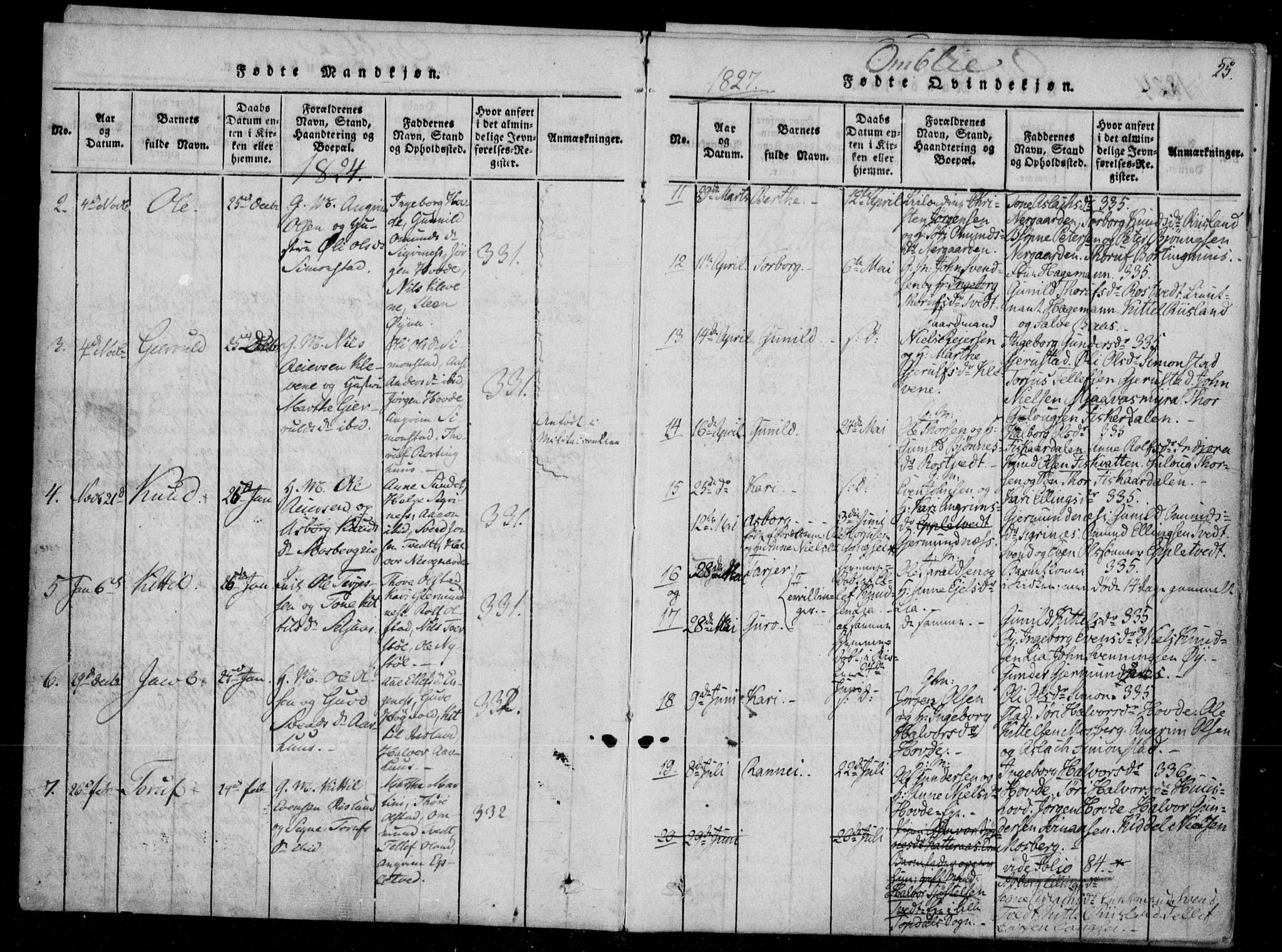 Åmli sokneprestkontor, SAK/1111-0050/F/Fa/Fac/L0006: Parish register (official) no. A 6, 1816-1829, p. 25