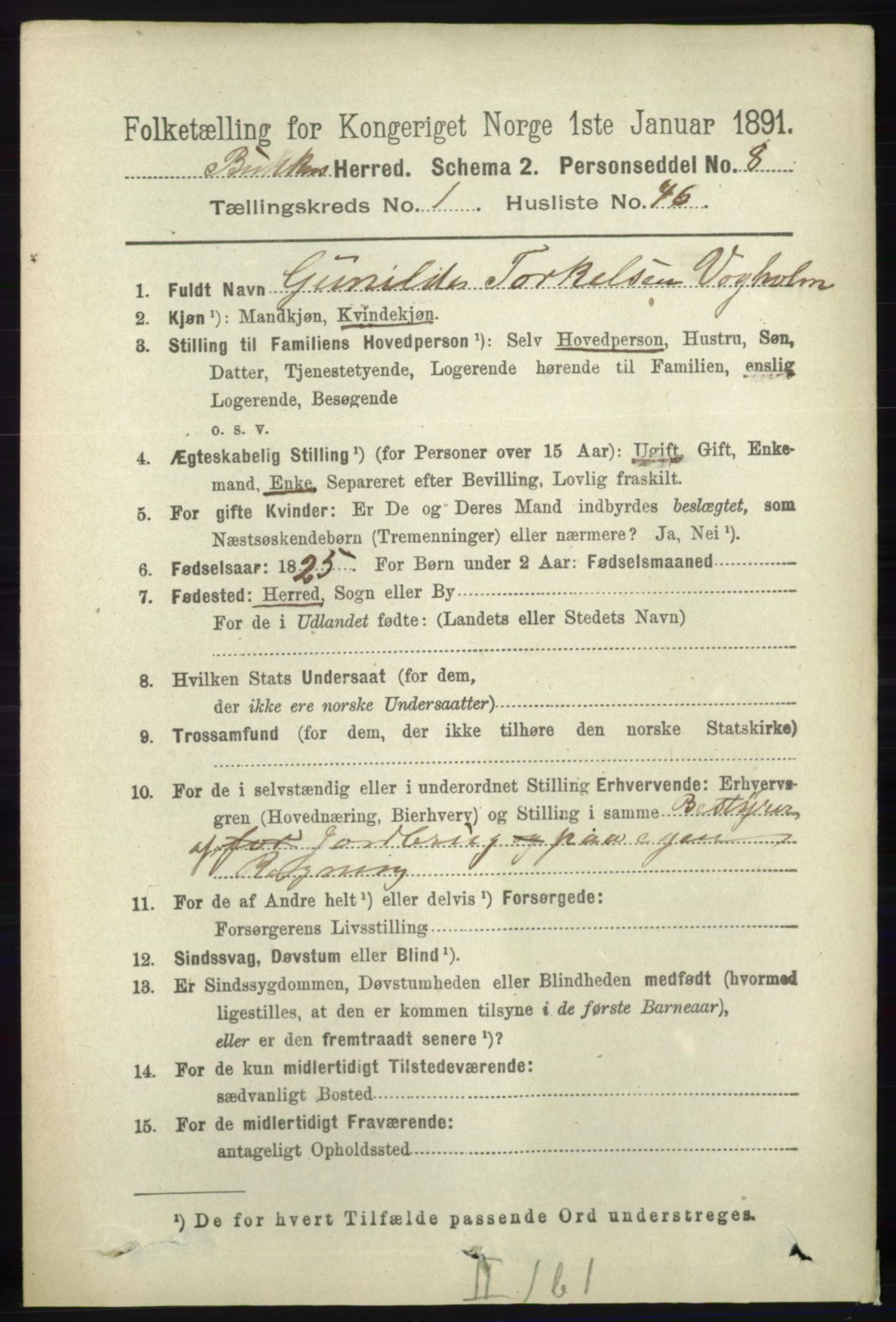 RA, 1891 census for 1145 Bokn, 1891, p. 294