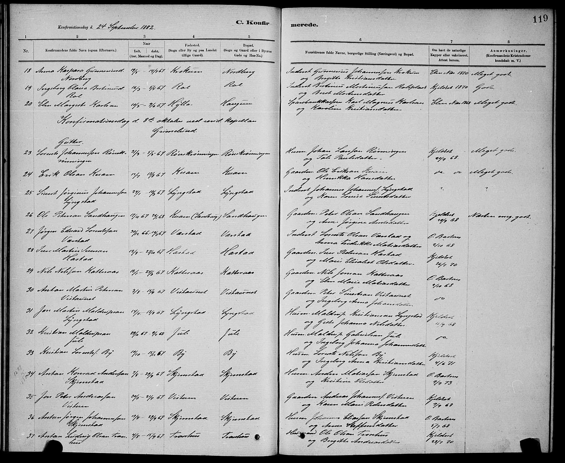 Ministerialprotokoller, klokkerbøker og fødselsregistre - Nord-Trøndelag, AV/SAT-A-1458/730/L0301: Parish register (copy) no. 730C04, 1880-1897, p. 119