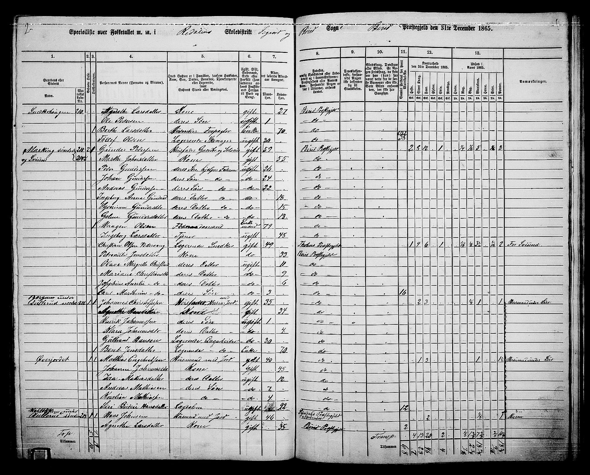 RA, 1865 census for Biri, 1865, p. 187