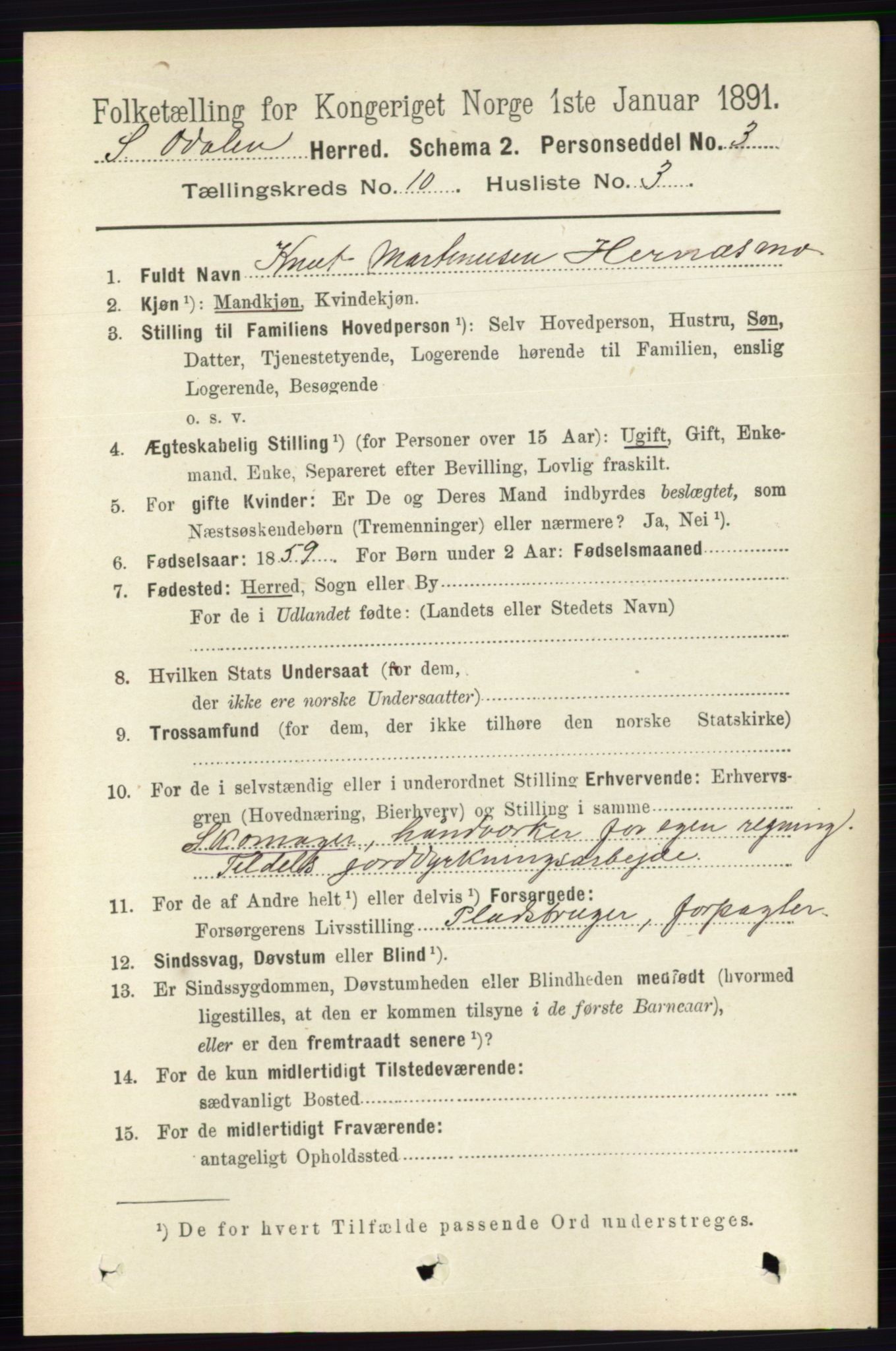 RA, 1891 census for 0419 Sør-Odal, 1891, p. 4376