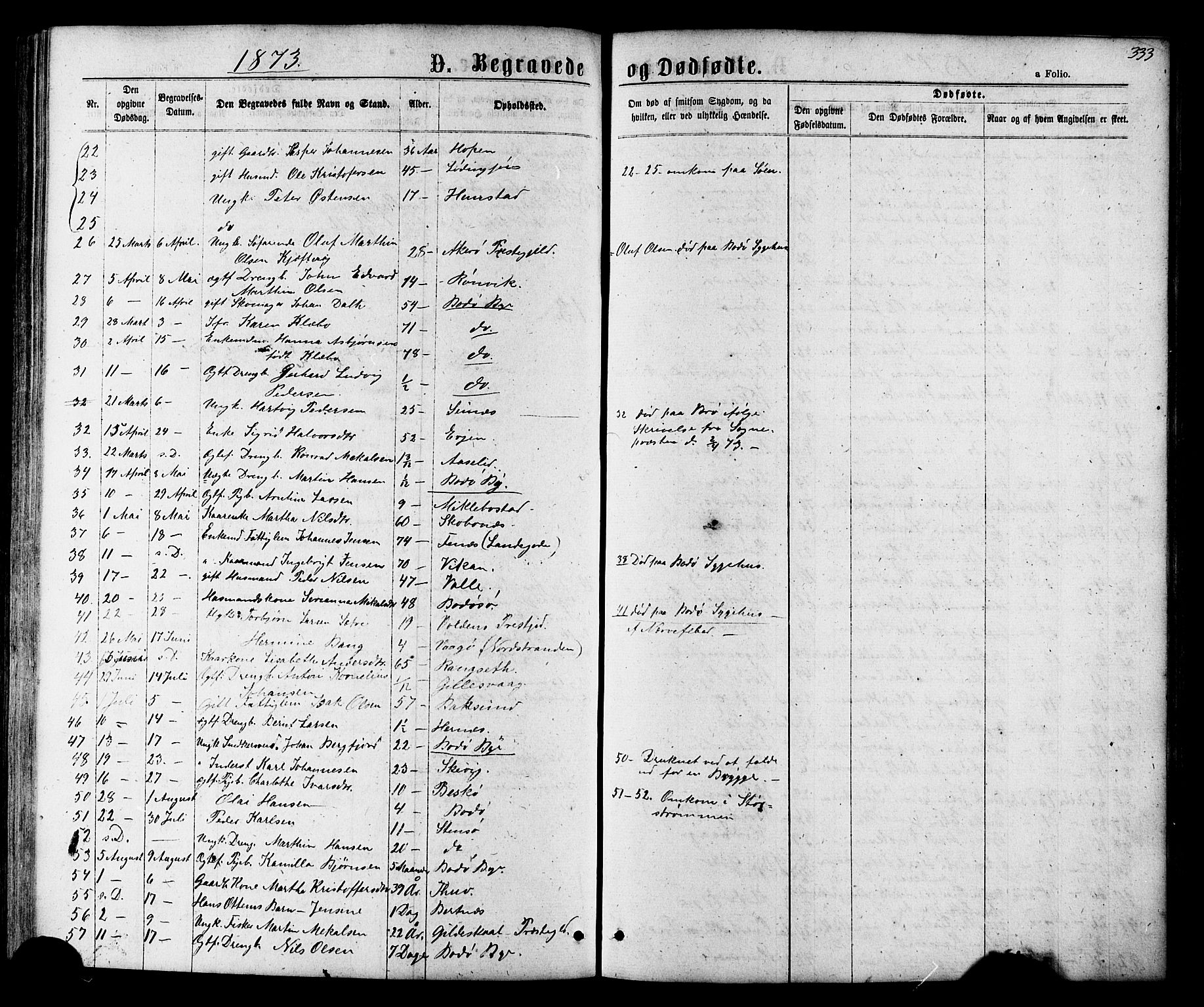 Ministerialprotokoller, klokkerbøker og fødselsregistre - Nordland, AV/SAT-A-1459/801/L0029: Parish register (copy) no. 801C04, 1868-1878, p. 333