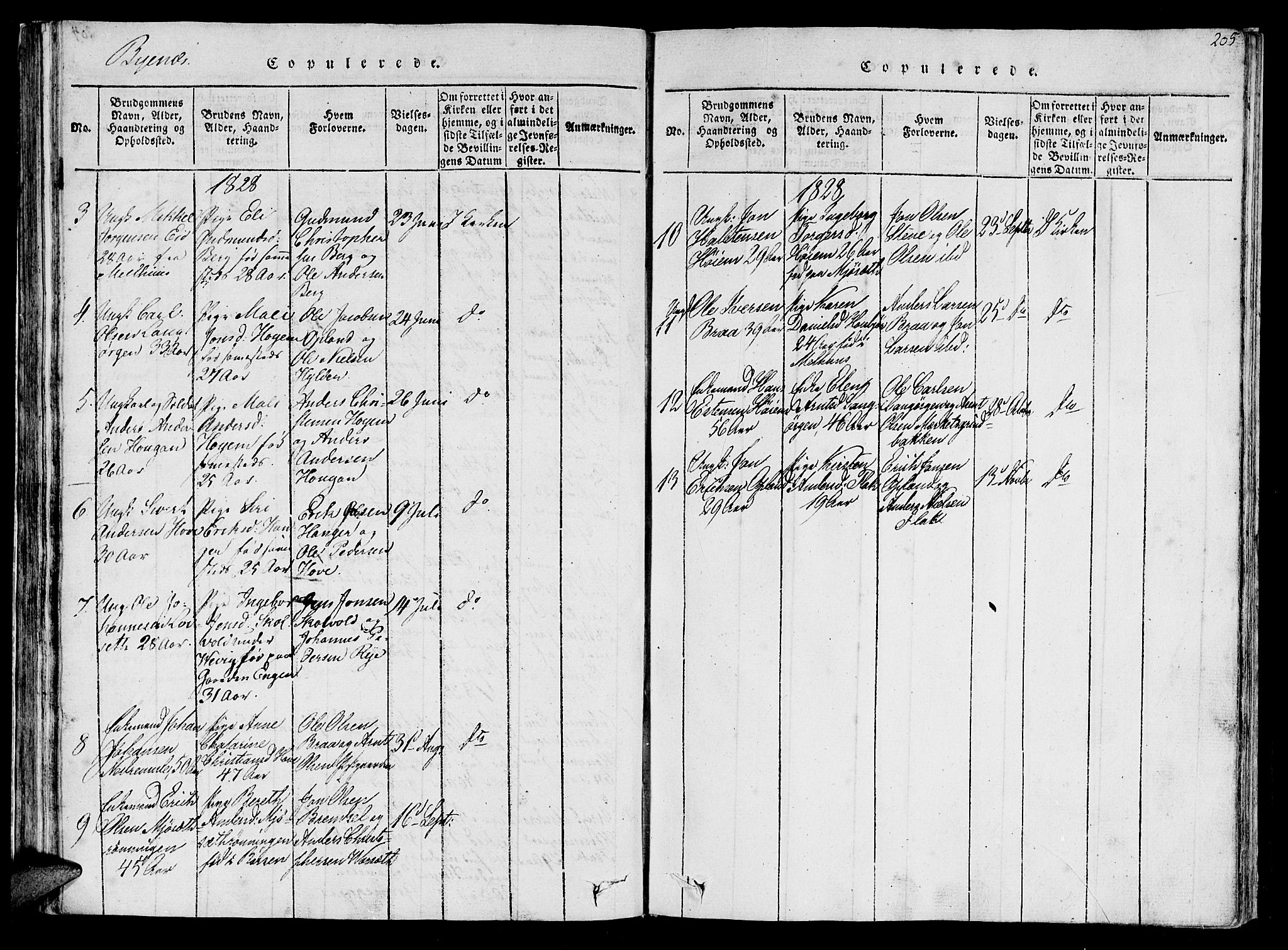 Ministerialprotokoller, klokkerbøker og fødselsregistre - Sør-Trøndelag, SAT/A-1456/612/L0372: Parish register (official) no. 612A06 /1, 1816-1828, p. 205