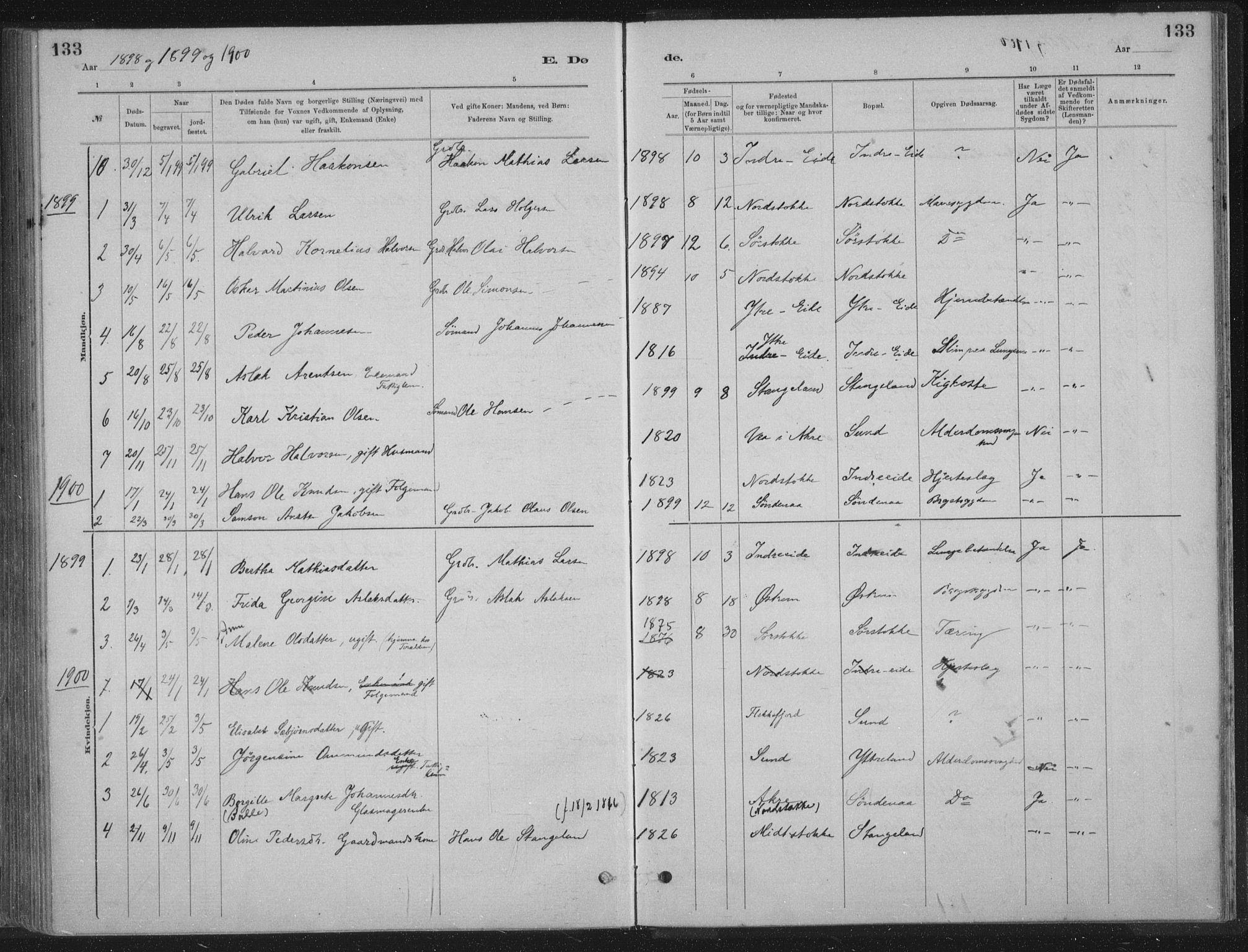Kopervik sokneprestkontor, SAST/A-101850/H/Ha/Haa/L0002: Parish register (official) no. A 2, 1880-1912, p. 133