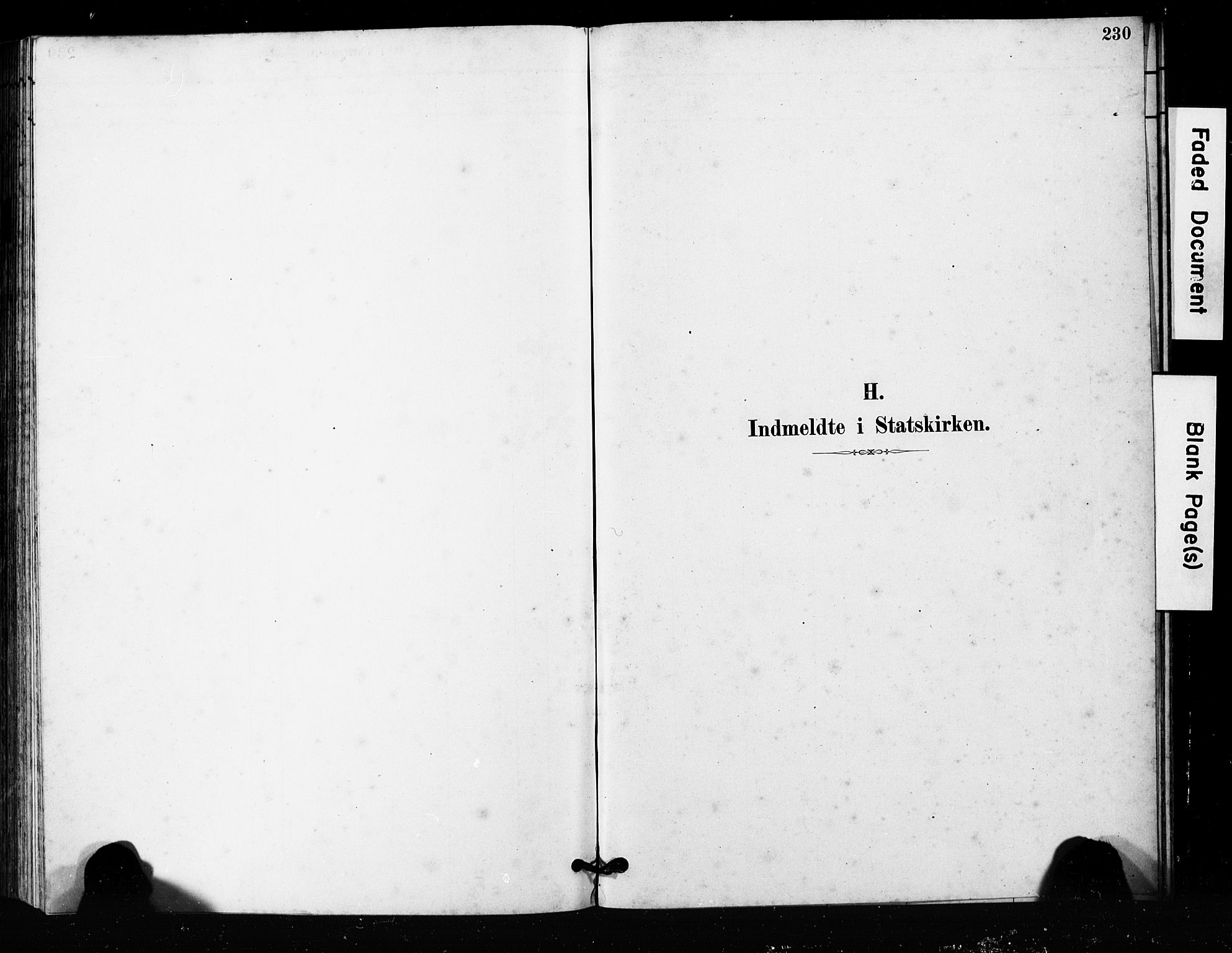 Ministerialprotokoller, klokkerbøker og fødselsregistre - Møre og Romsdal, AV/SAT-A-1454/563/L0737: Parish register (copy) no. 563C01, 1878-1916, p. 230