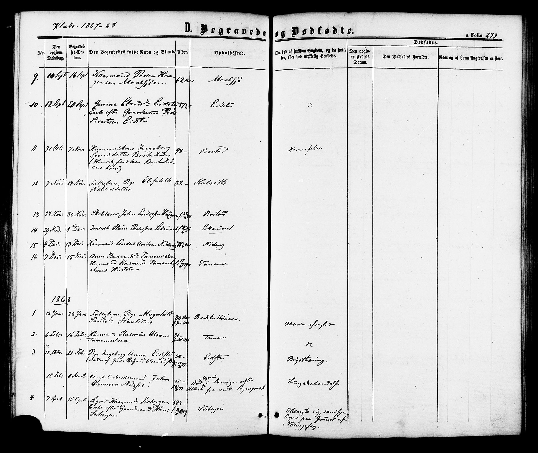 Ministerialprotokoller, klokkerbøker og fødselsregistre - Sør-Trøndelag, SAT/A-1456/618/L0442: Parish register (official) no. 618A06 /1, 1863-1879, p. 233