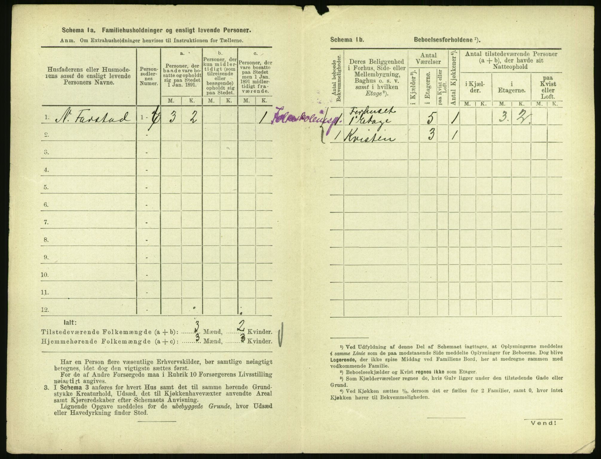 RA, 1891 census for 0707 Larvik, 1891, p. 1118