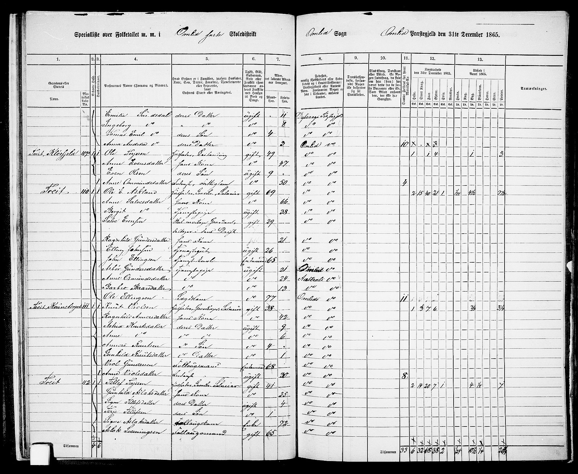 RA, 1865 census for Åmli, 1865, p. 19