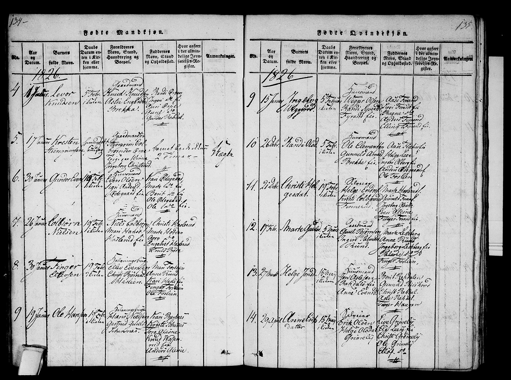 Krødsherad kirkebøker, AV/SAKO-A-19/F/Fa/L0001: Parish register (official) no. 1, 1815-1829, p. 134-135