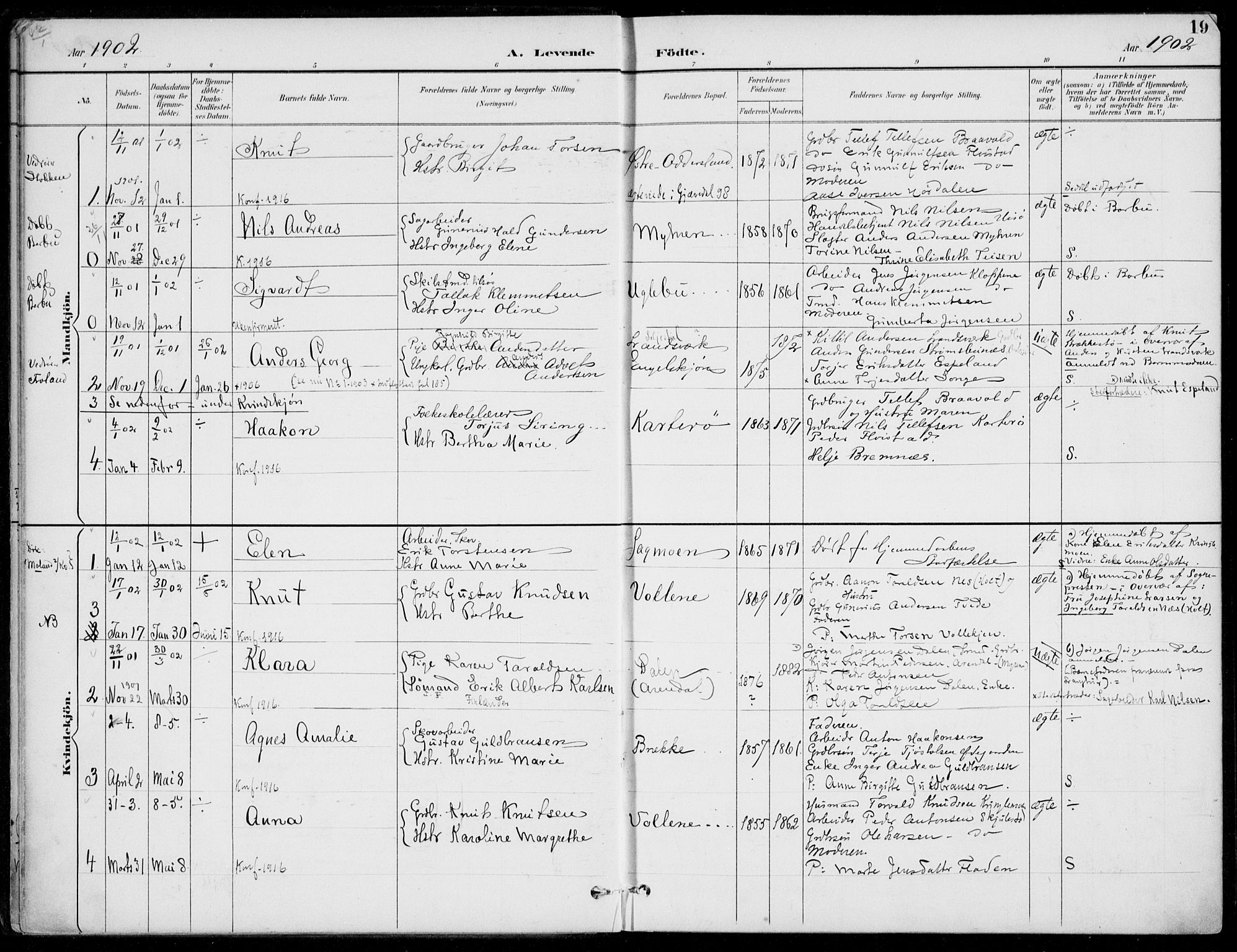 Austre Moland sokneprestkontor, AV/SAK-1111-0001/F/Fa/Faa/L0011: Parish register (official) no. A 11, 1894-1915, p. 19