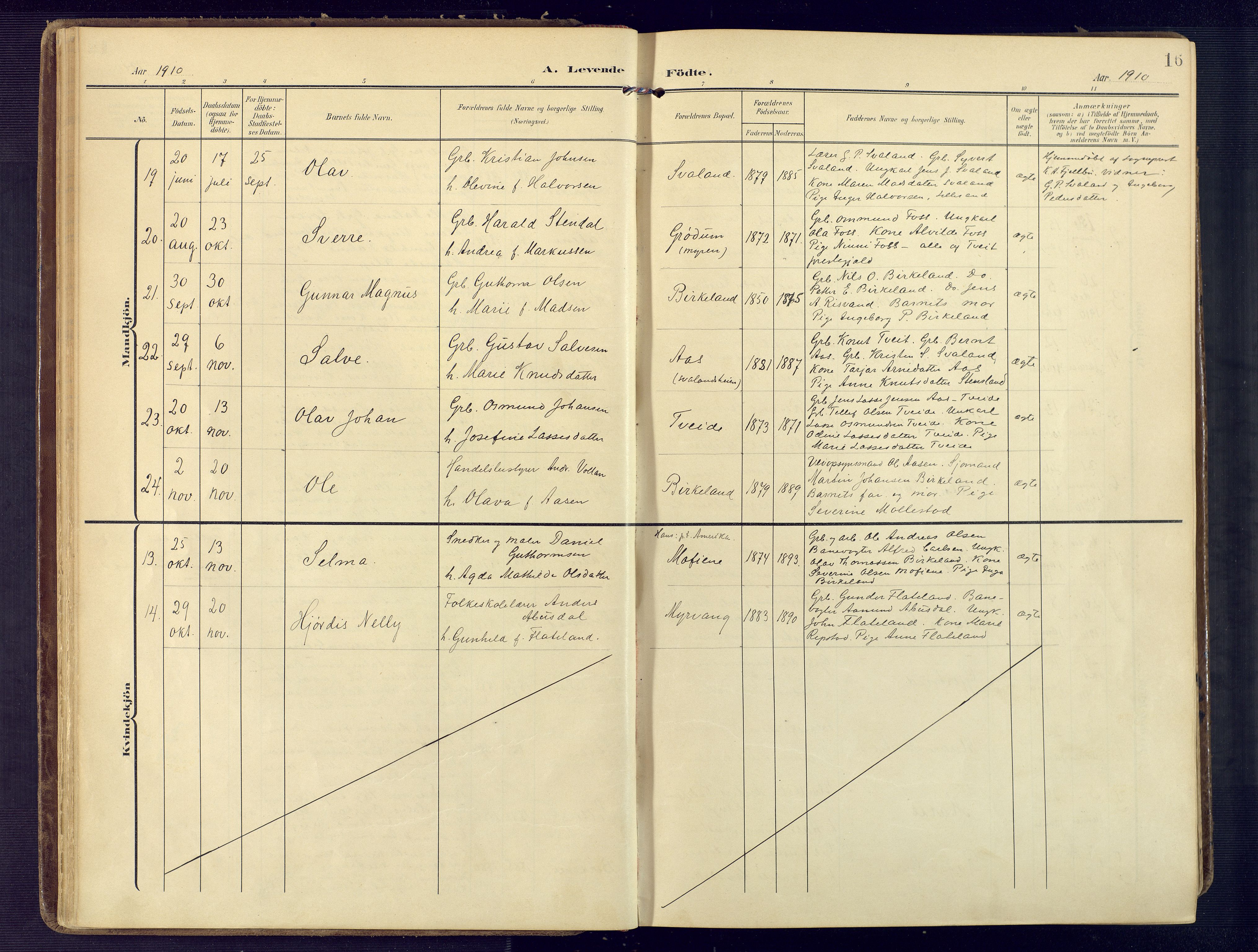 Birkenes sokneprestkontor, AV/SAK-1111-0004/F/Fa/L0006: Parish register (official) no. A 6, 1908-1932, p. 16