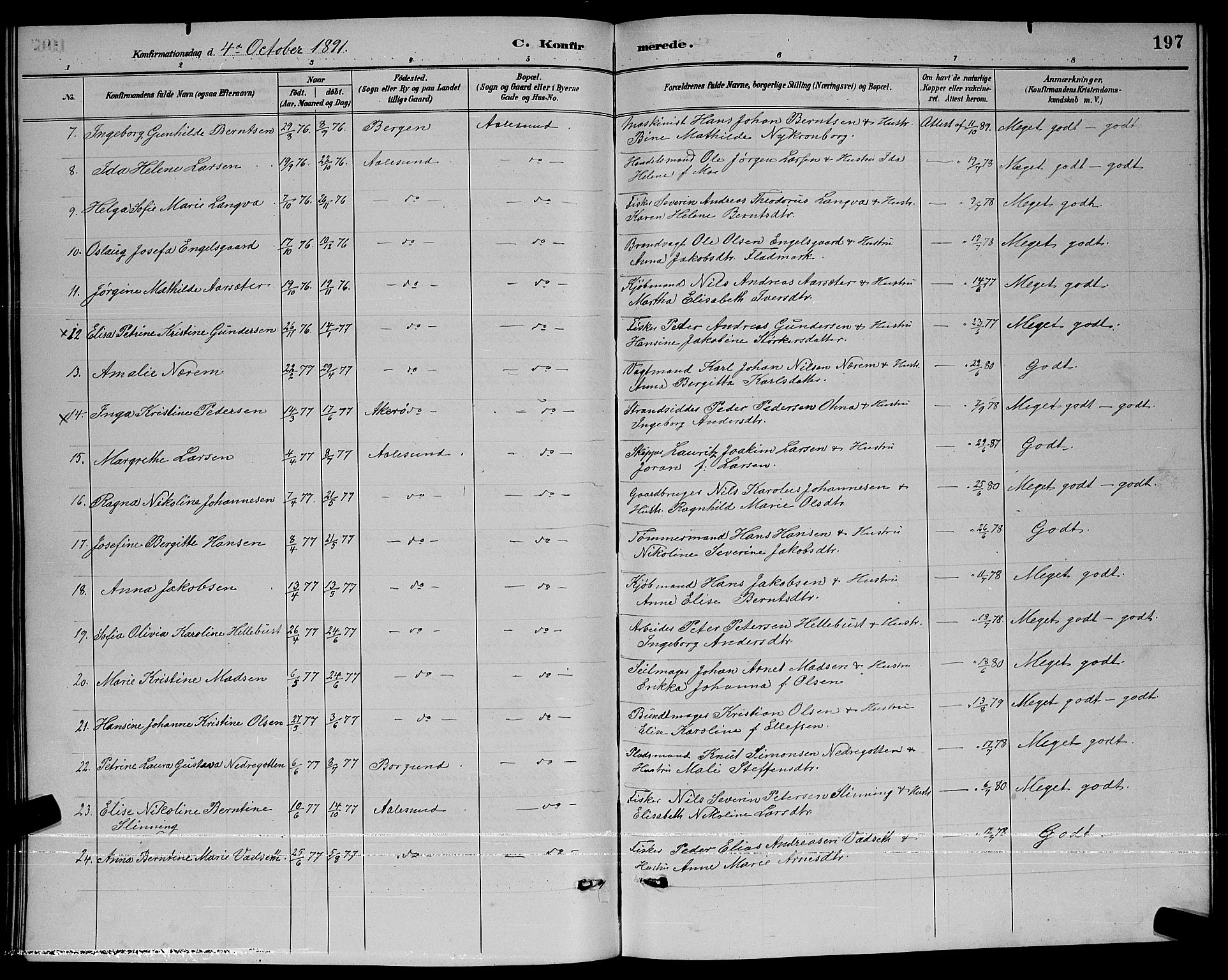 Ministerialprotokoller, klokkerbøker og fødselsregistre - Møre og Romsdal, AV/SAT-A-1454/529/L0467: Parish register (copy) no. 529C04, 1889-1897, p. 197