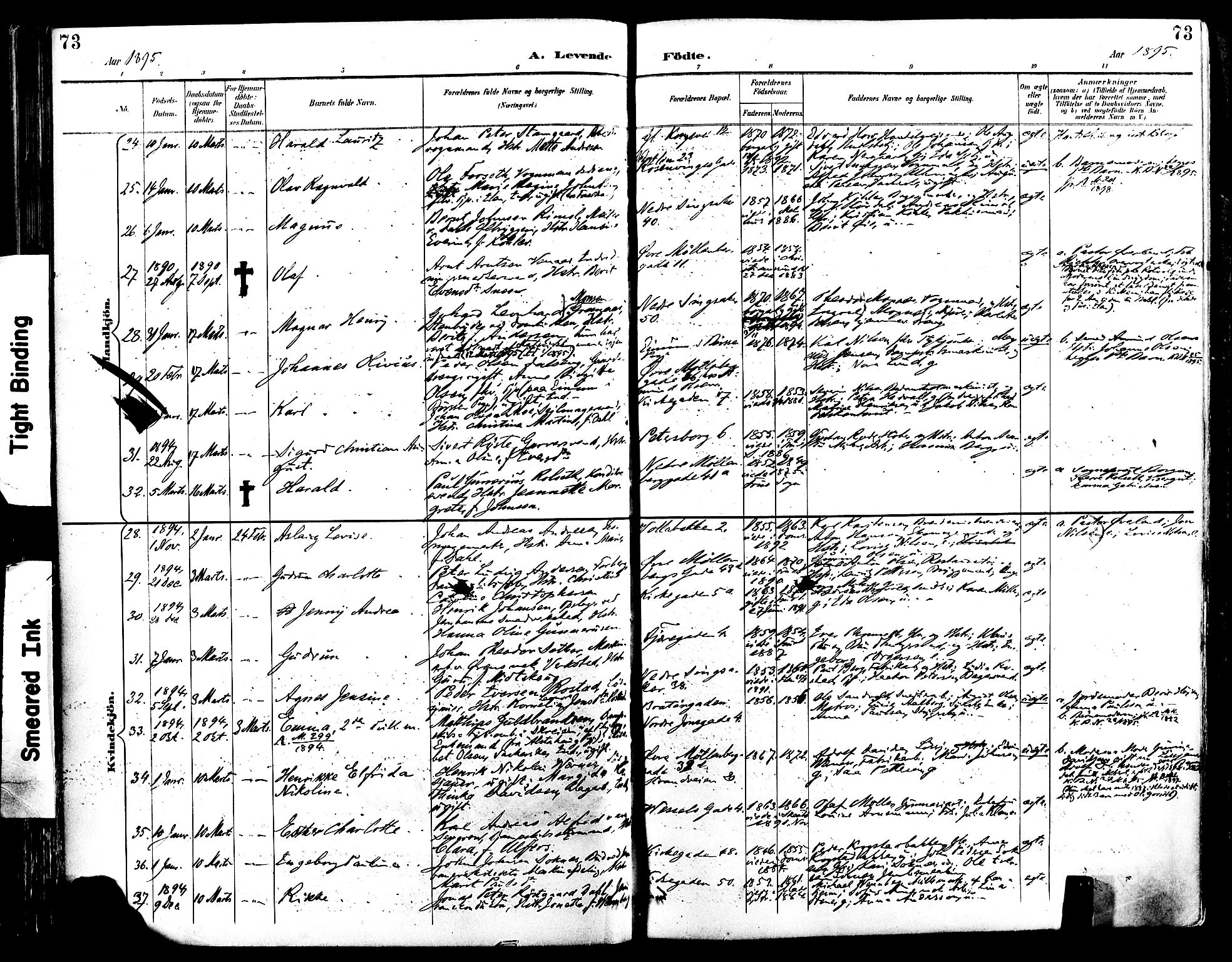 Ministerialprotokoller, klokkerbøker og fødselsregistre - Sør-Trøndelag, SAT/A-1456/604/L0197: Parish register (official) no. 604A18, 1893-1900, p. 73