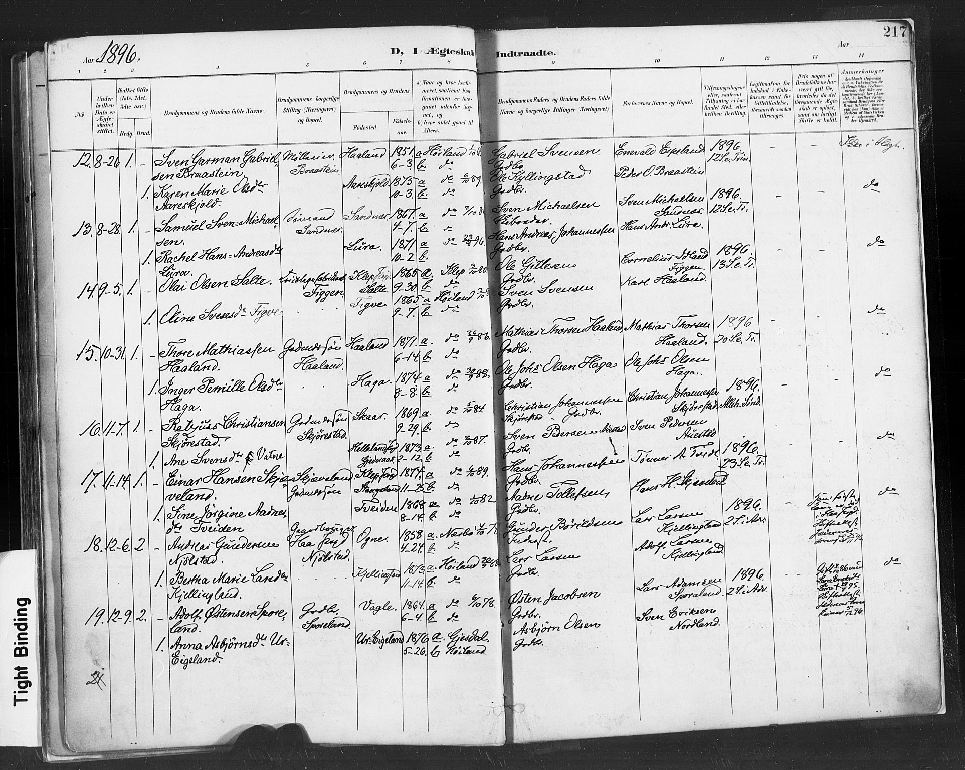 Høyland sokneprestkontor, AV/SAST-A-101799/001/30BA/L0013: Parish register (official) no. A 13.1, 1889-1898, p. 217