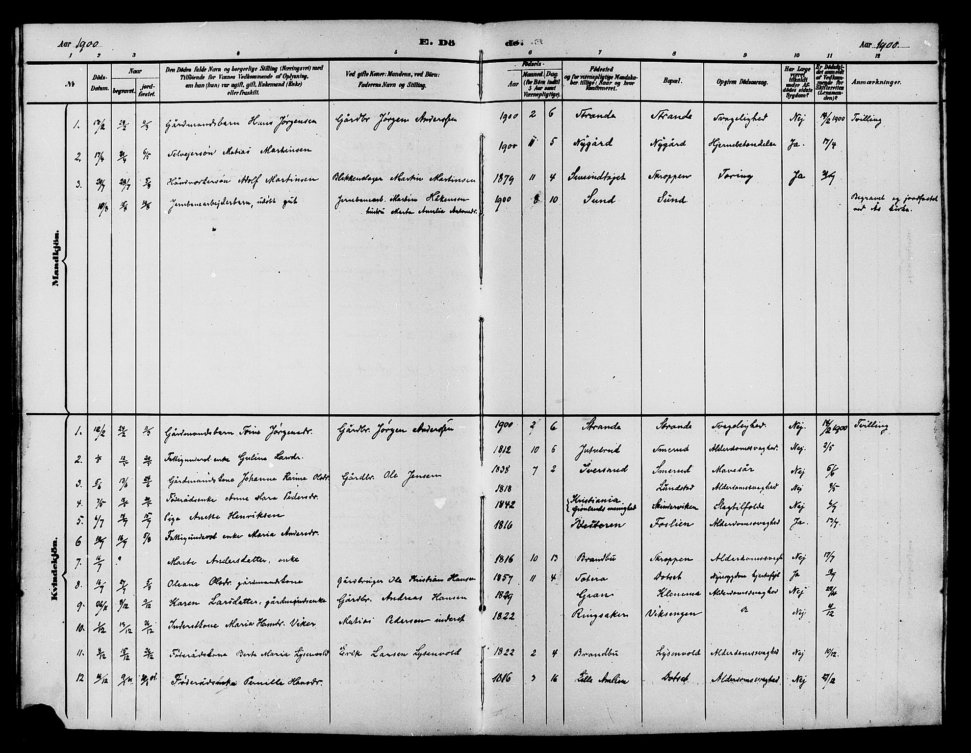 Vestre Toten prestekontor, SAH/PREST-108/H/Ha/Hab/L0015: Parish register (copy) no. 15, 1890-1900