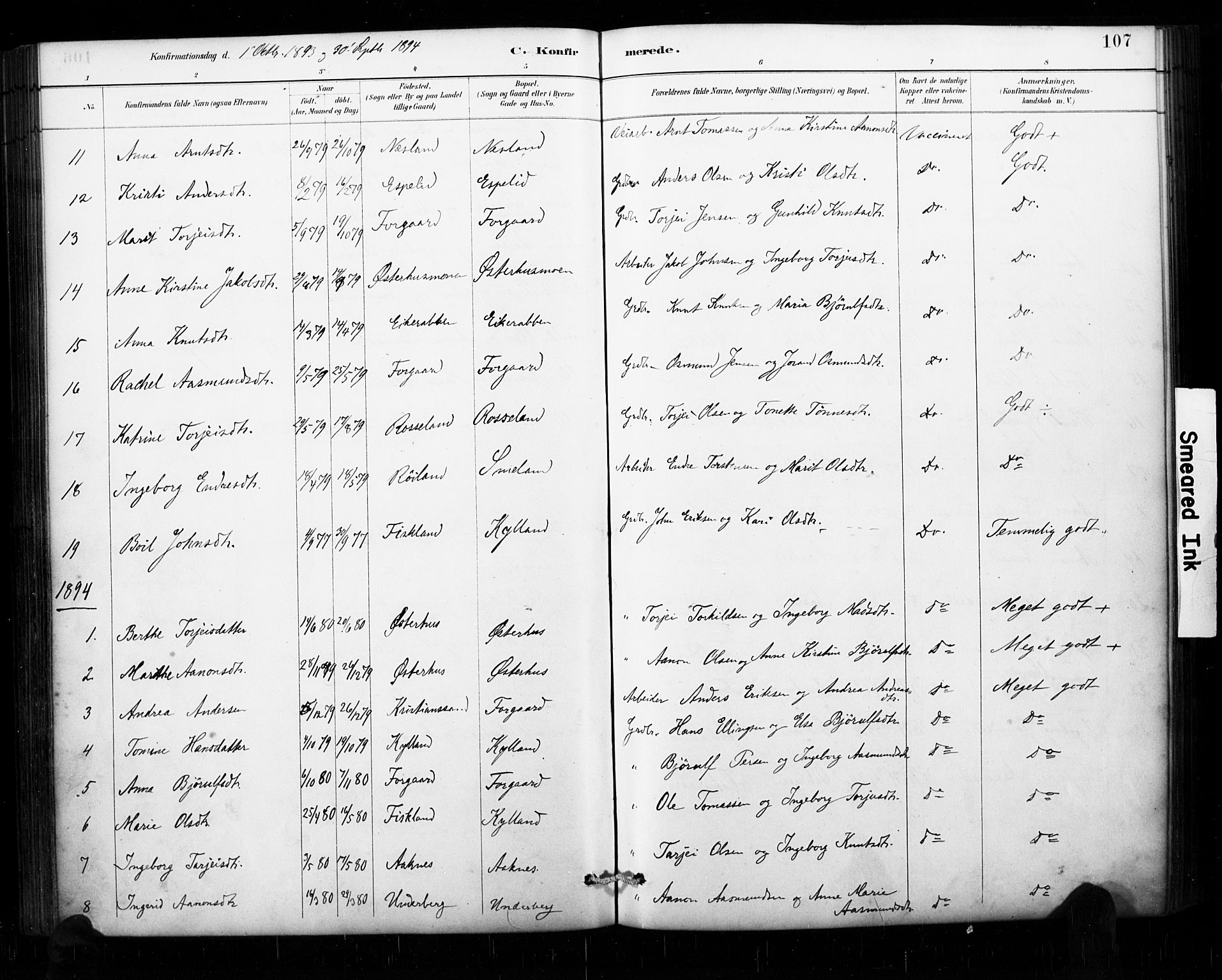 Åseral sokneprestkontor, SAK/1111-0051/F/Fa/L0003: Parish register (official) no. A 3, 1884-1901, p. 107