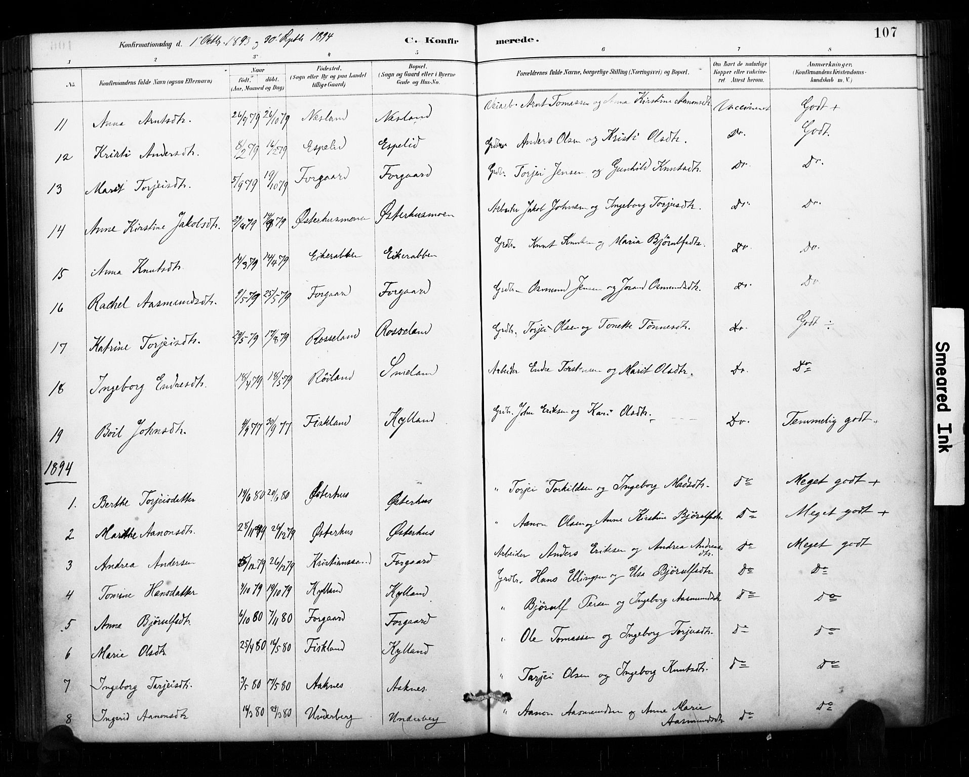 Åseral sokneprestkontor, AV/SAK-1111-0051/F/Fa/L0003: Parish register (official) no. A 3, 1884-1901, p. 107