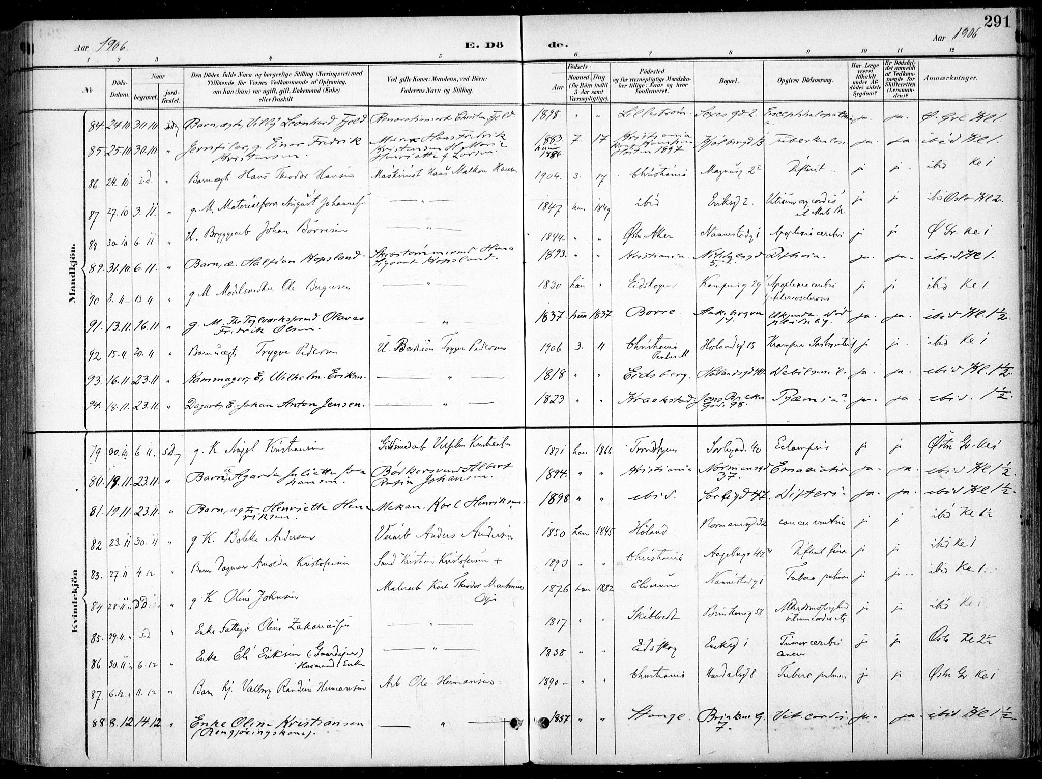 Kampen prestekontor Kirkebøker, SAO/A-10853/F/Fa/L0009: Parish register (official) no. I 9, 1899-1911, p. 291