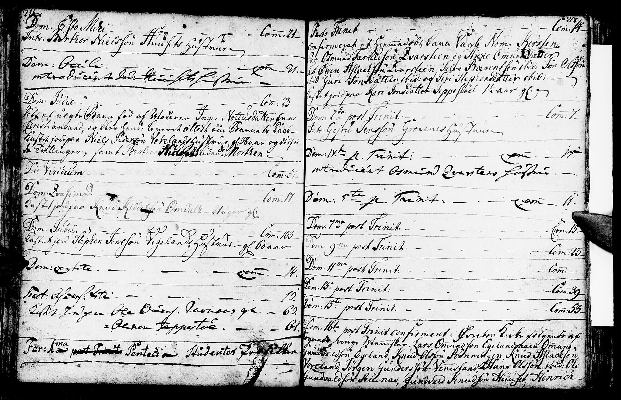Vennesla sokneprestkontor, SAK/1111-0045/Fa/Fab/L0001: Parish register (official) no. A 1, 1741-1794, p. 216-217