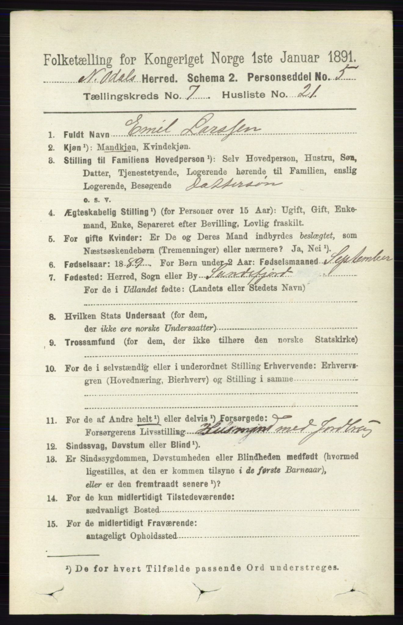 RA, 1891 census for 0418 Nord-Odal, 1891, p. 2941