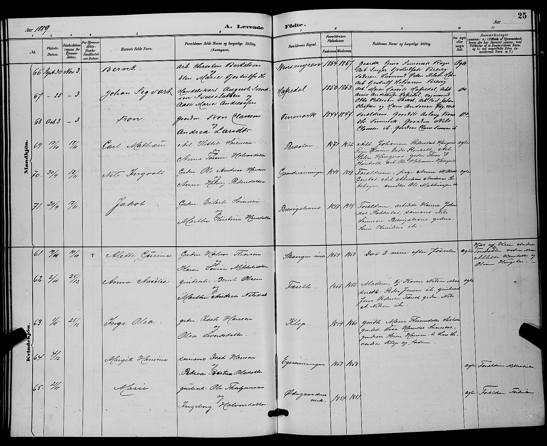 Bamble kirkebøker, SAKO/A-253/G/Ga/L0009: Parish register (copy) no. I 9, 1888-1900, p. 25