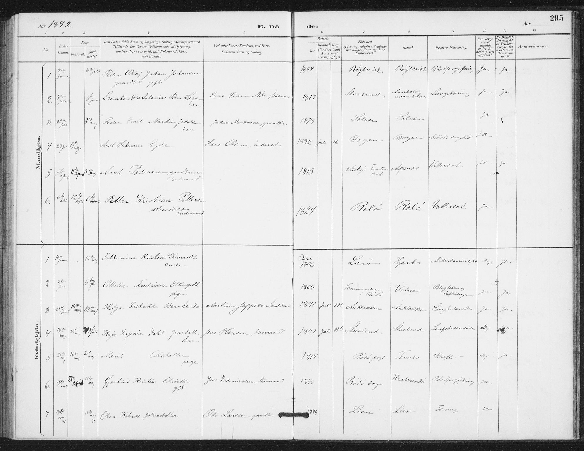 Ministerialprotokoller, klokkerbøker og fødselsregistre - Nordland, SAT/A-1459/839/L0573: Parish register (copy) no. 839C03, 1892-1917, p. 295
