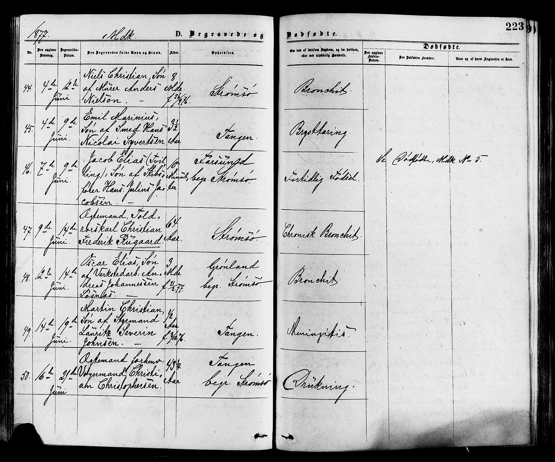 Strømsø kirkebøker, SAKO/A-246/F/Fa/L0019: Parish register (official) no. I 19, 1874-1877, p. 223