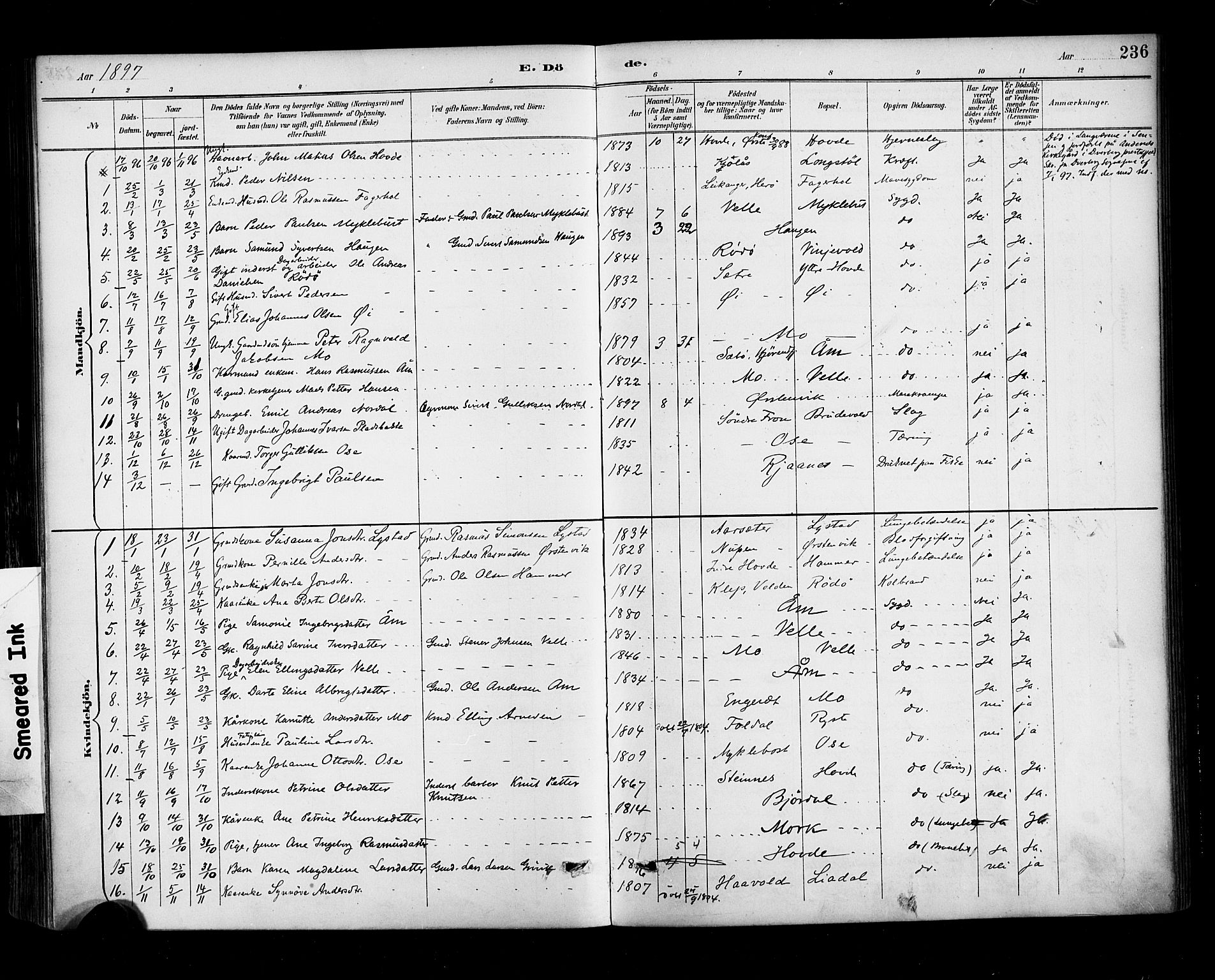 Ministerialprotokoller, klokkerbøker og fødselsregistre - Møre og Romsdal, AV/SAT-A-1454/513/L0177: Parish register (official) no. 513A04, 1890-1906, p. 236