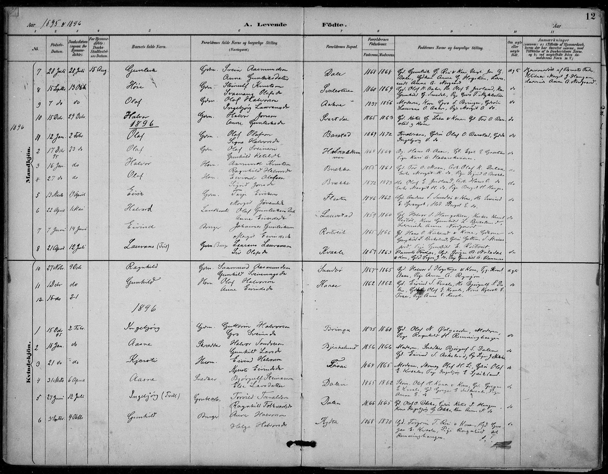 Seljord kirkebøker, AV/SAKO-A-20/F/Fb/L0002: Parish register (official) no. II 2, 1887-1917, p. 12