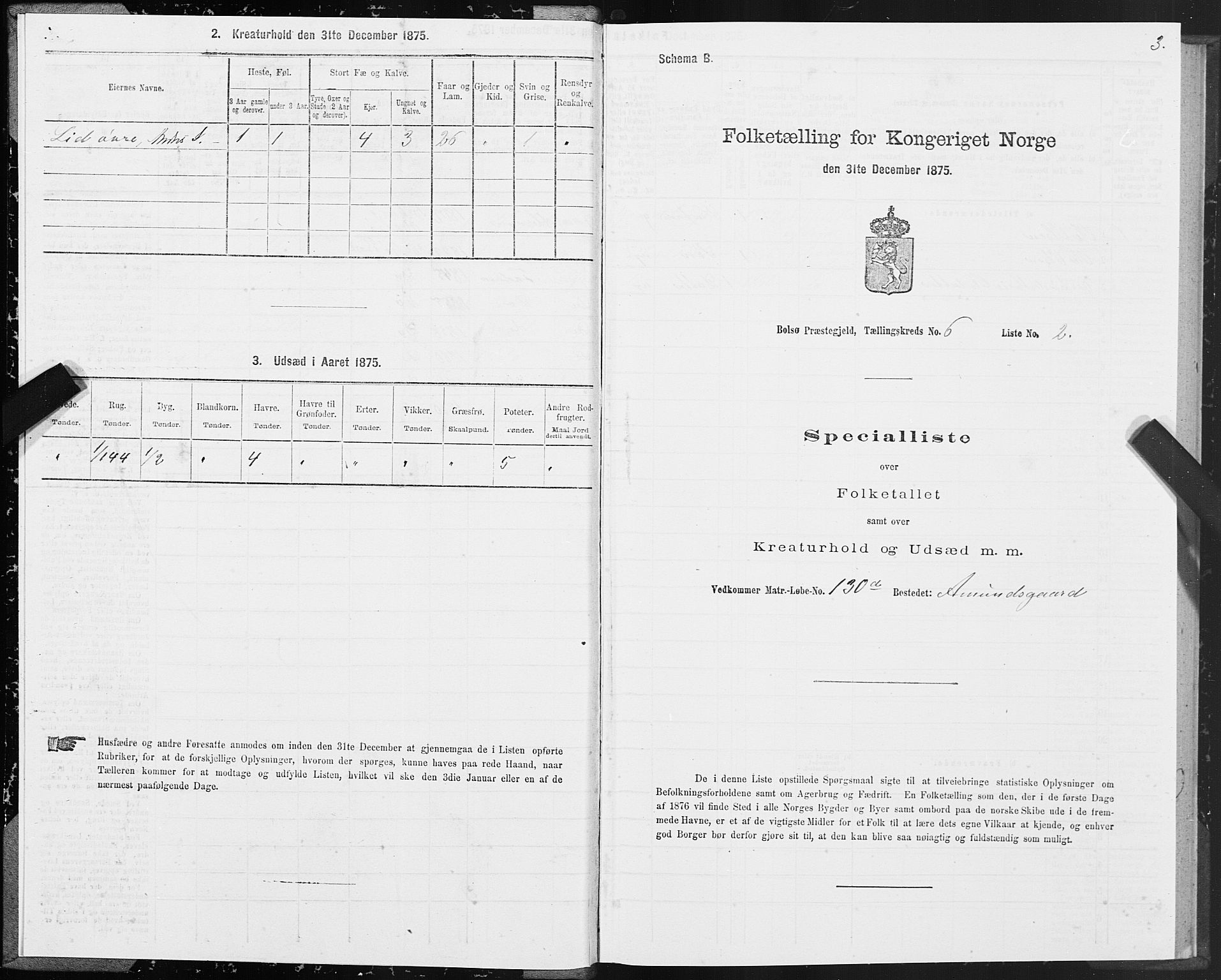 SAT, 1875 census for 1544P Bolsøy, 1875, p. 4003