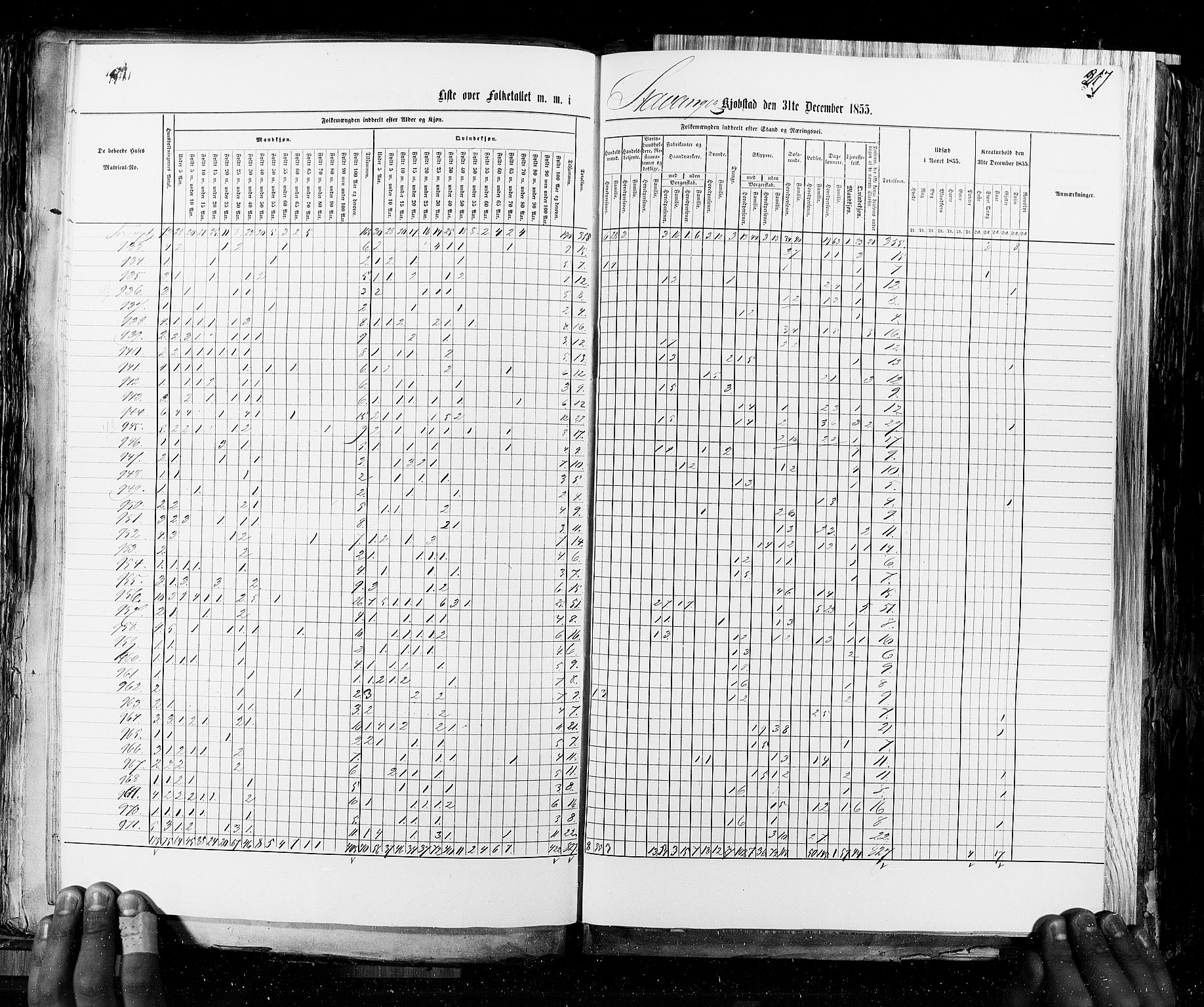 RA, Census 1855, vol. 8: Risør-Vadsø, 1855, p. 217