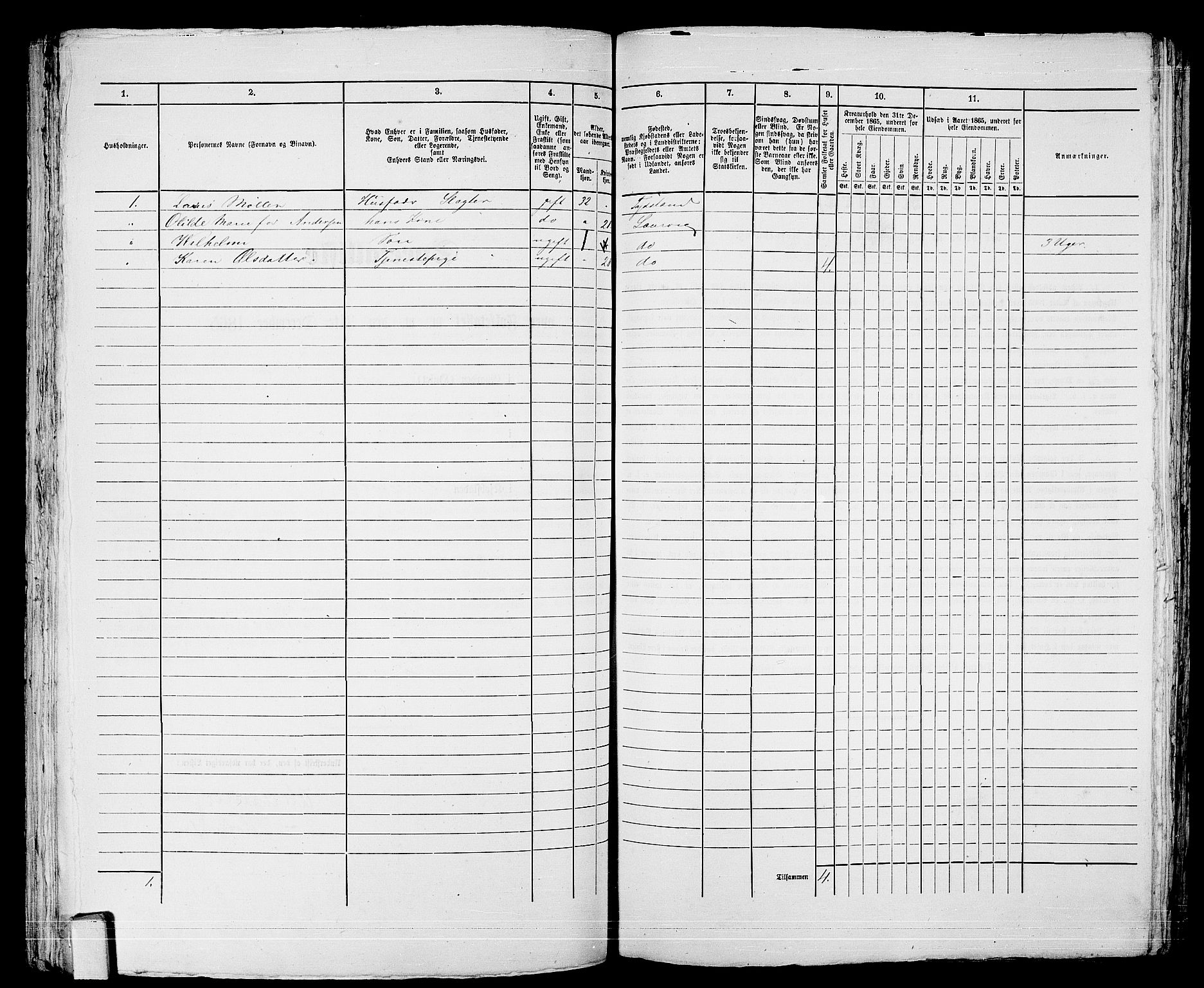 RA, 1865 census for Larvik, 1865, p. 180