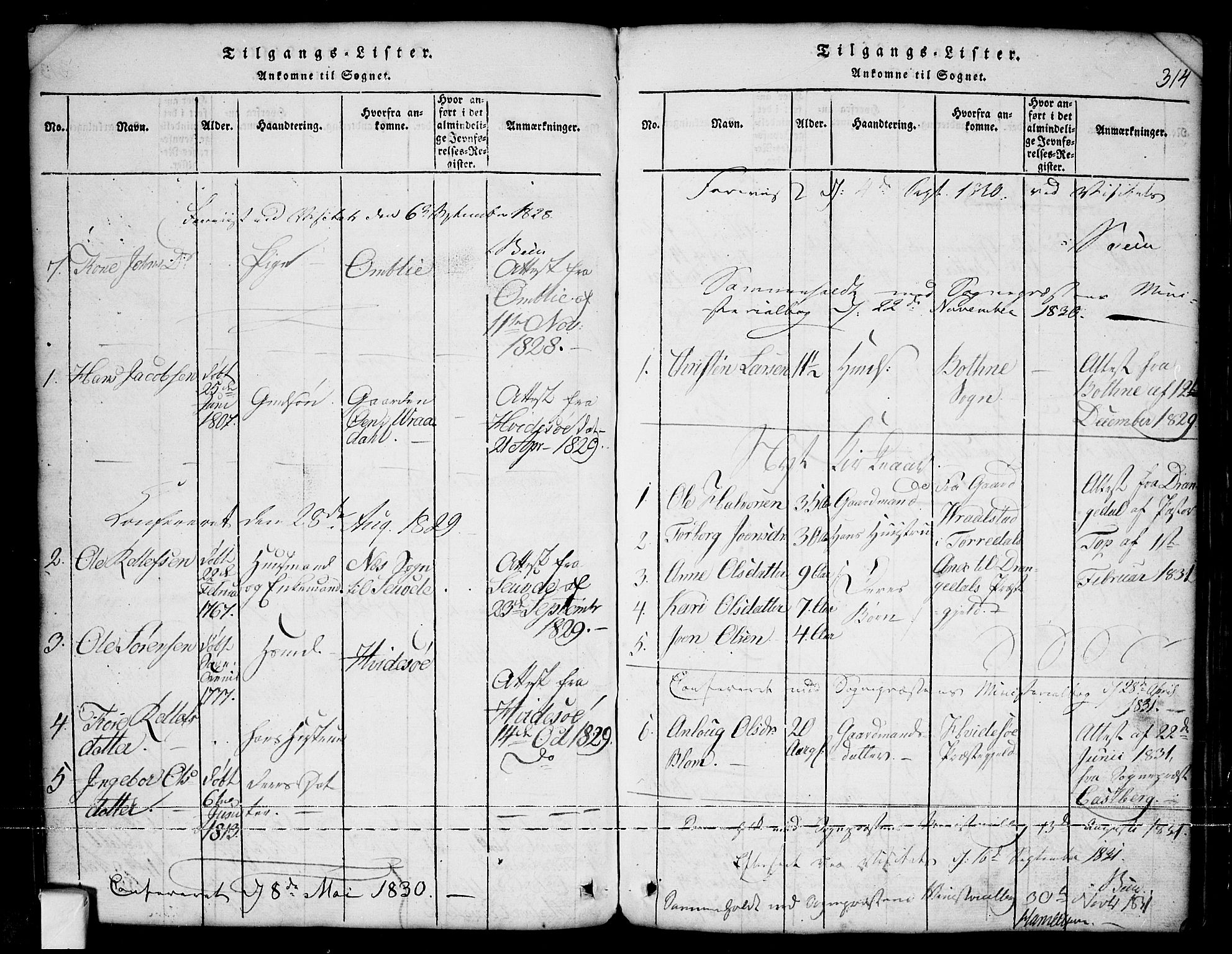 Nissedal kirkebøker, SAKO/A-288/G/Ga/L0001: Parish register (copy) no. I 1, 1814-1860, p. 314