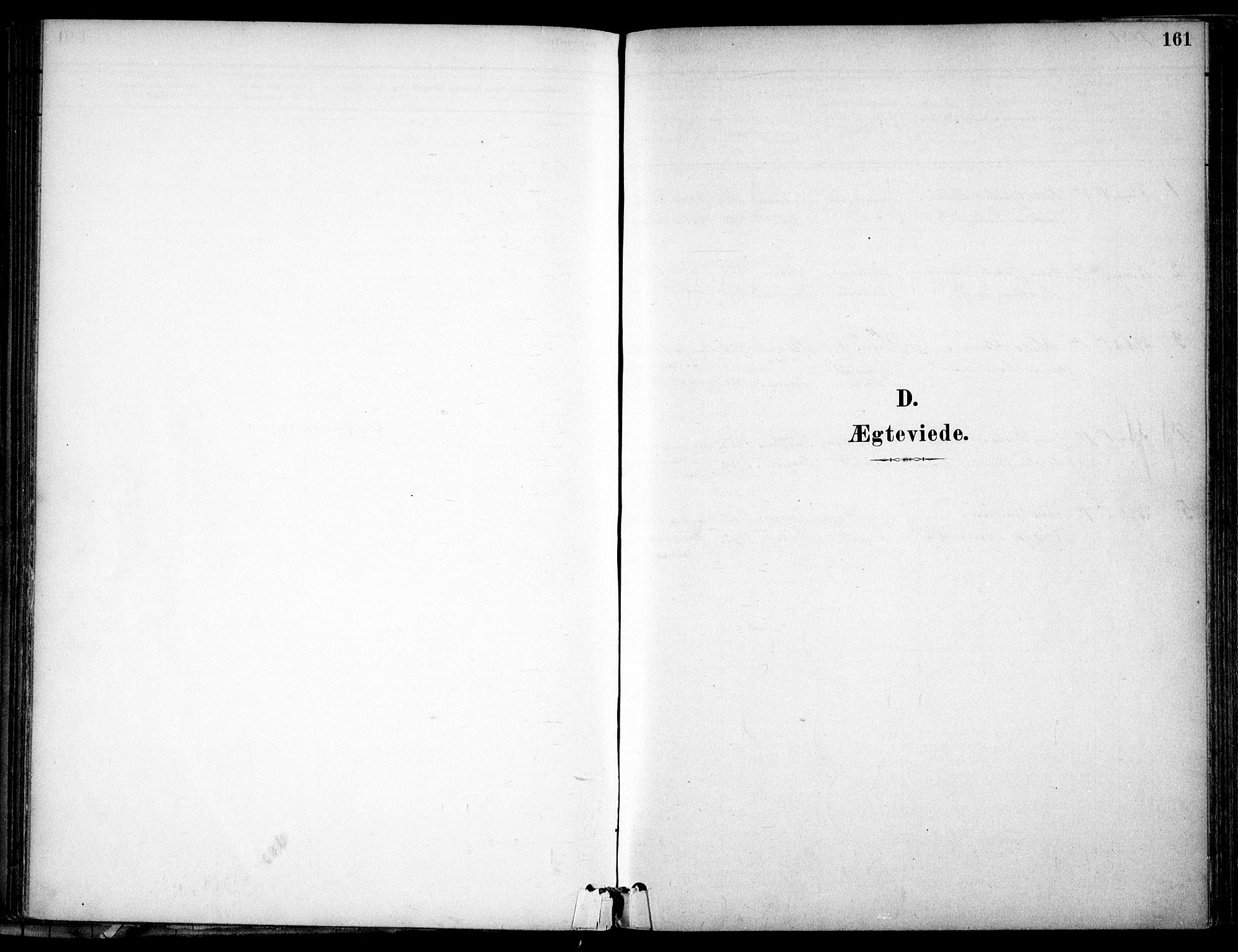 Gjerdrum prestekontor Kirkebøker, SAO/A-10412b/F/Fb/L0001: Parish register (official) no. II 1, 1881-1921, p. 161