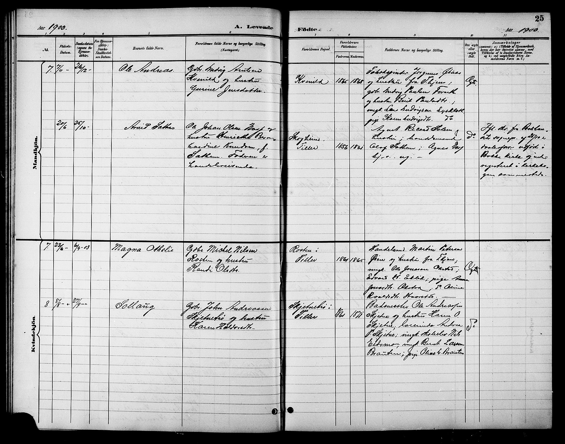 Ministerialprotokoller, klokkerbøker og fødselsregistre - Sør-Trøndelag, SAT/A-1456/621/L0460: Parish register (copy) no. 621C03, 1896-1914, p. 25